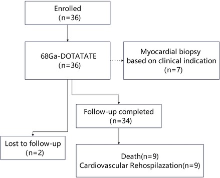 Flowchart illustrating a study process: 36 participants enrolled undergo 68Ga-DOTATATE. Seven require myocardial biopsy based on clinical indication. Follow-up completed for 34 participants. Outcomes include 2 lost to follow-up and 9 deaths with 9 rehospitalization.