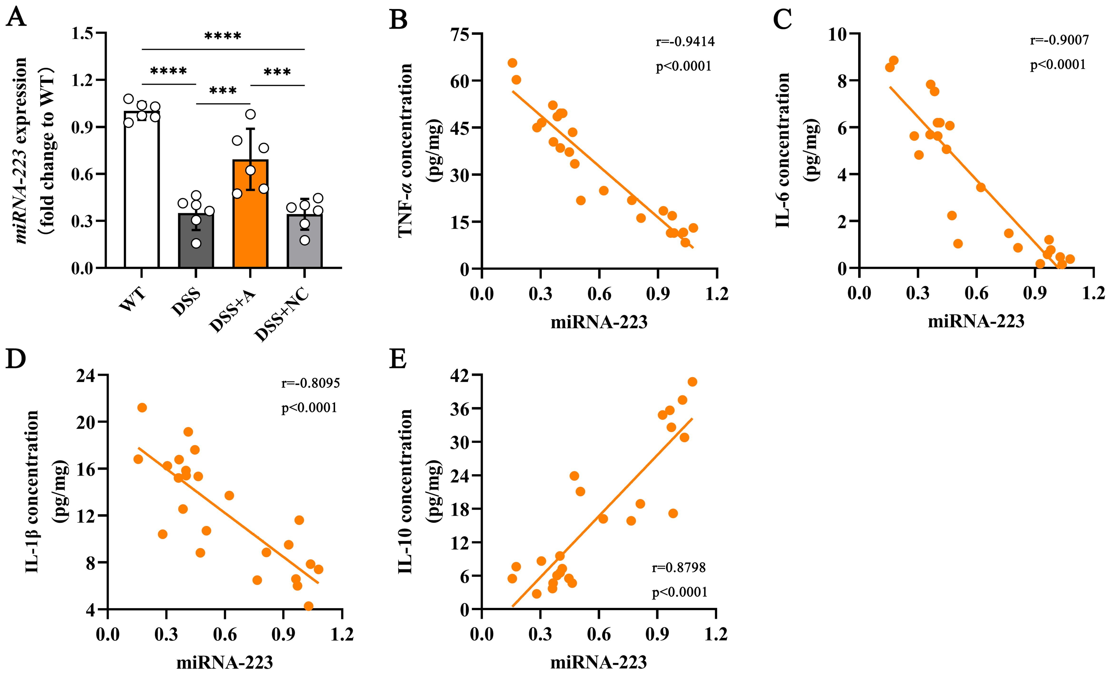 Bar and scatter plots showing miRNA-223 expression and its correlation with various cytokines. Graph A displays miRNA-223 expression levels in different groups with significant differences marked by asterisks. Graphs B to F show scatter plots of miRNA-223 against concentrations of TNF-α, IL-6, IL-1β, IL-10, and TGF-β, respectively, indicating strong correlations with respective r-values and p-values.