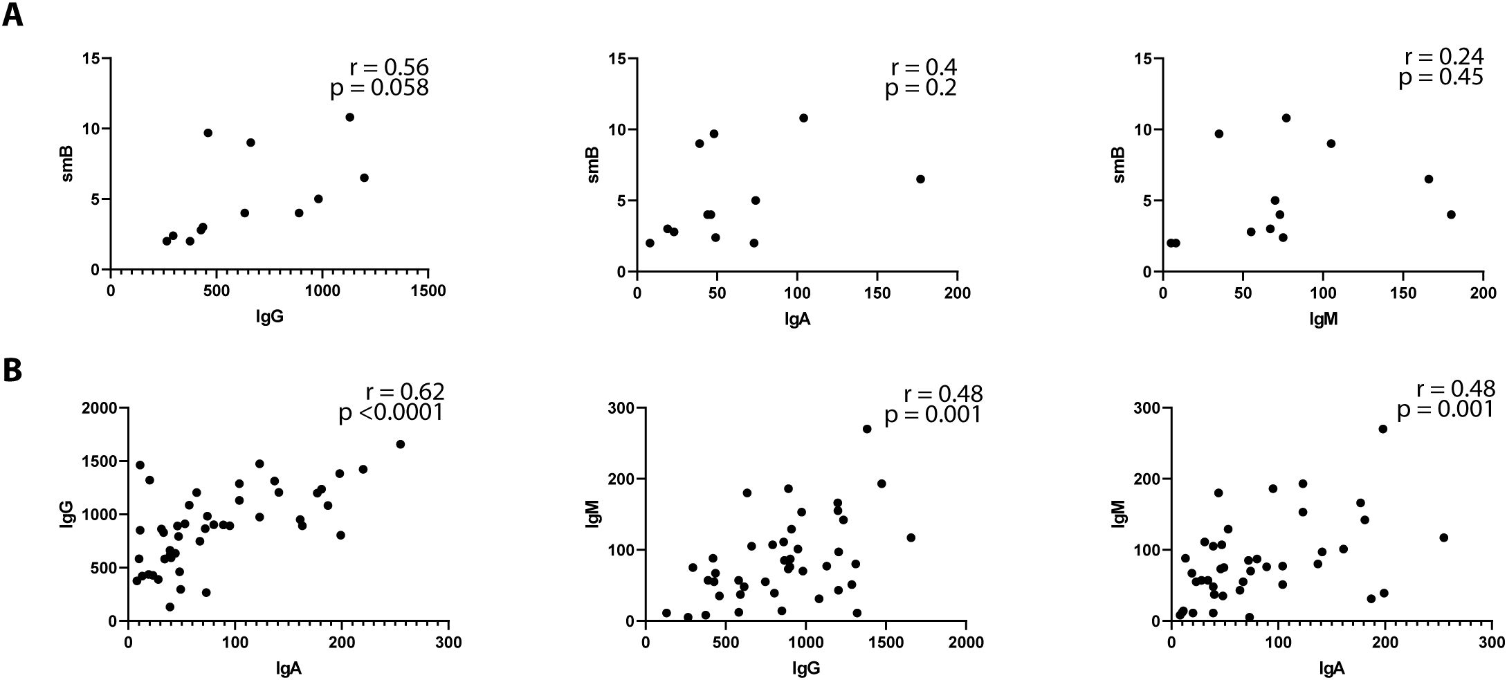 Two sets of scatter plots labeled A and B depict correlation analyses. In set A, three plots show correlations of smB with IgG (r=0.56, p=0.058), IgA (r=0.4, p=0.2), and IgM (r=0.24, p=0.45). In set B, plots display correlations of IgG with IgA (r=0.62, p<0.0001), IgM with IgG (r=0.48, p=0.001), and IgM with IgA (r=0.48, p=0.001). Each plot features a cluster of data points illustrating the strength of the relationships.