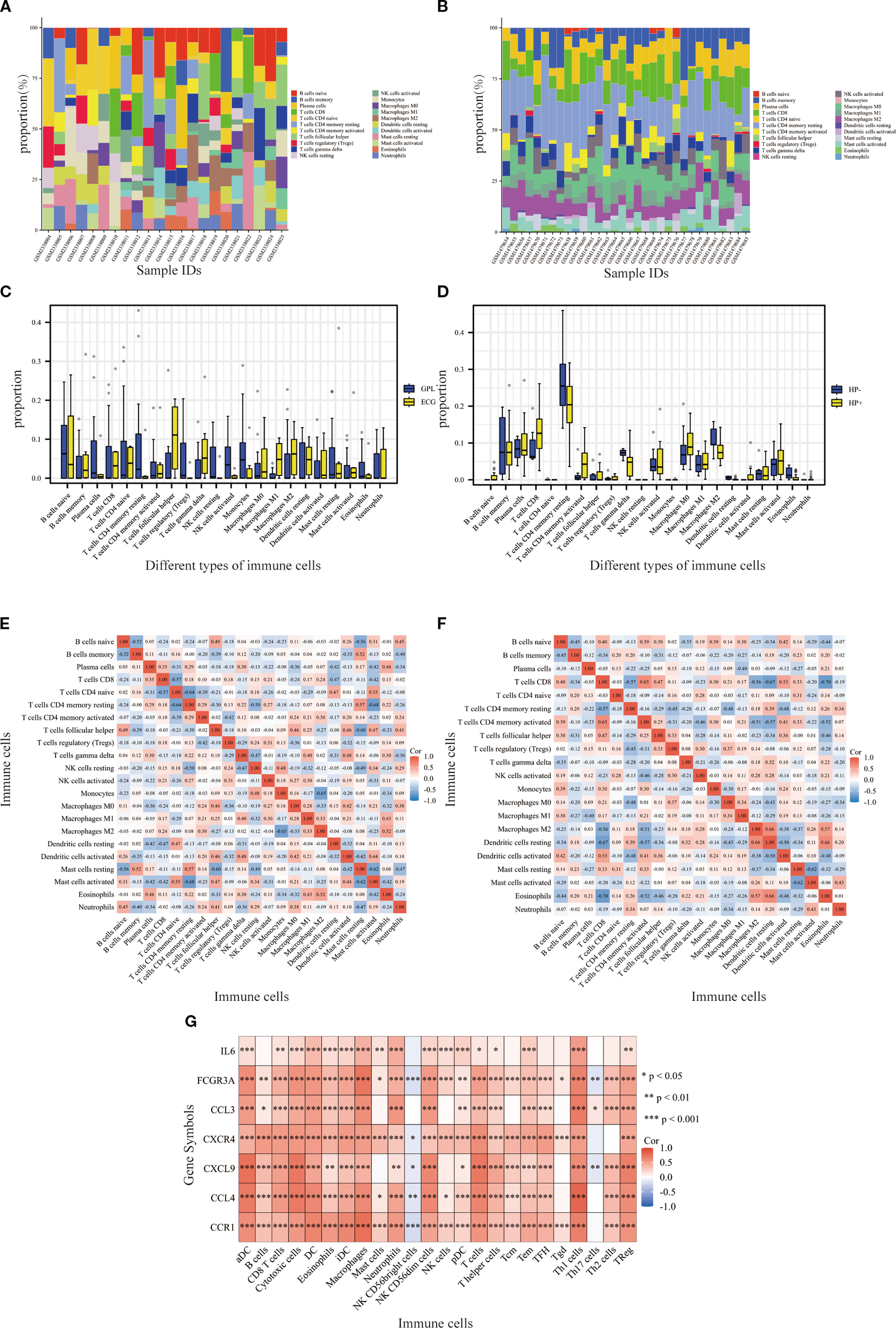 Seven panels display various data visualizations related to cell types and correlations. Panels A and B show bar graphs illustrating cell type percentages across different conditions. Panels C and D present box plots comparing GPL and ECG, and levels of HP- and HP+ across various cell types. Panels E and F contain heatmaps showing correlation matrices for different cell interactions. Panel G features a heatmap indicating correlation values of specific genes and cell types, annotated with significance levels. Each panel uses distinct color coding to represent different data categories and significance markers.