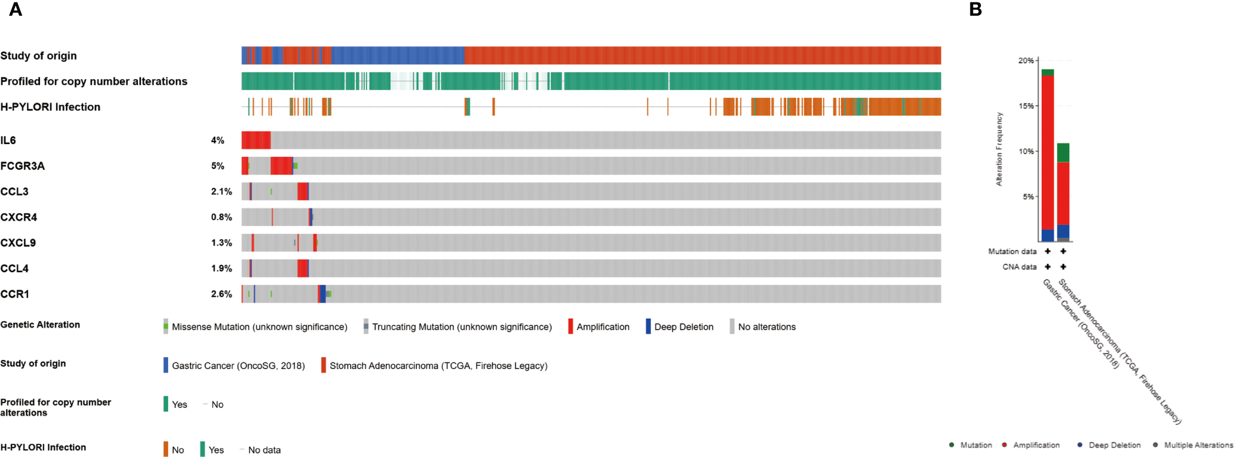 Diagram showing genetic alterations in studies related to gastric cancer and stomach adenocarcinoma. Panel A lists genes such as IL6 and FCGR3A with percentages indicating alteration frequency. Alterations include mutations, amplifications, and deep deletions. Panel B is a bar chart showing alteration frequencies, highlighting differences between the two studies. The color key describes various genetic alterations and study origins.