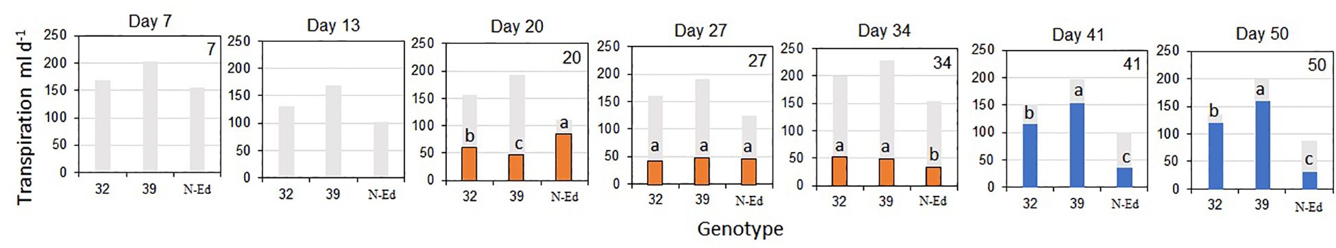 DNA sequence comparison showing non-edited control and variants CBP80-32 and CBP80-39. For CBP80-32, sequences include alterations of “+1 A” and “-1”. For CBP80-39, sequences show “+1 A” and “-1”. Variants are highlighted in red.