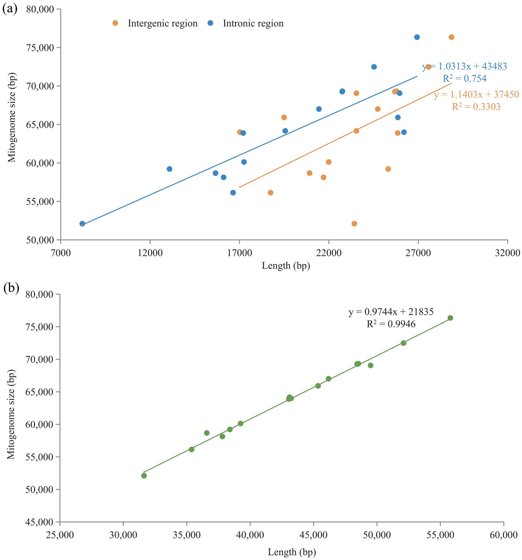 Pearson correlation analysis of intronic and intergenic regions with genome size. (a) Relationship between intergenic and intronic regions and mitogenome size. (b) Relationship between intronic and intergenic regions and mitogenome size.