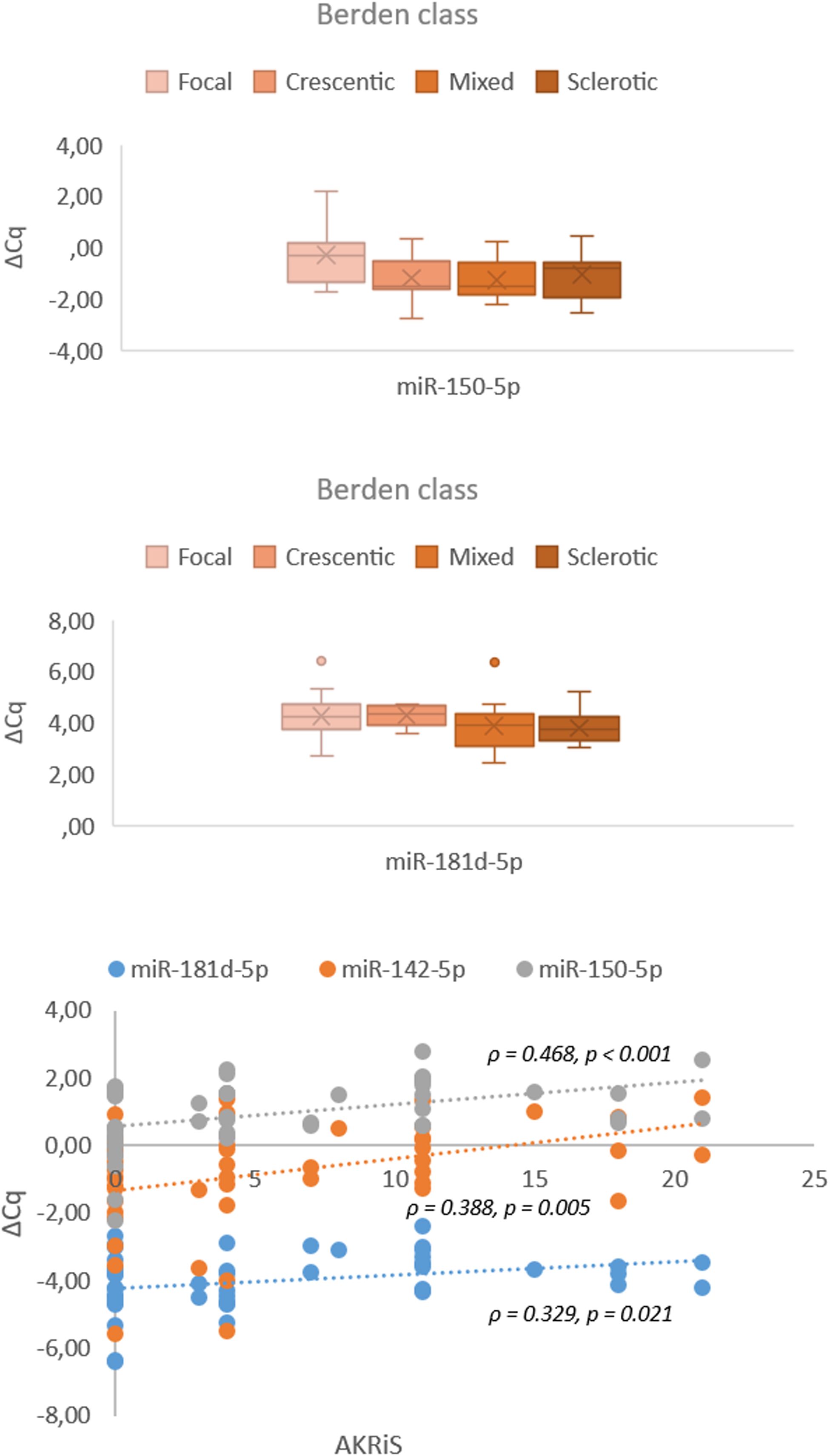 Box plots and scatter plots display ΔCq values for different microRNAs across Berden classes. The first two box plots show miR-150-5p and miR-181d-5p across four classes: Focal, Crescentic, Mixed, and Sclerotic. The third scatter plot shows correlations of miR-181d-5p, miR-142-5p, and miR-150-5p with AKRiS values, including correlation coefficients and significance levels.