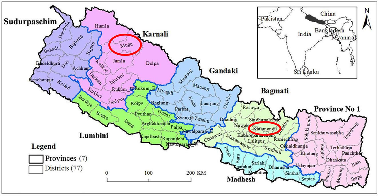 www.frontiersin.org