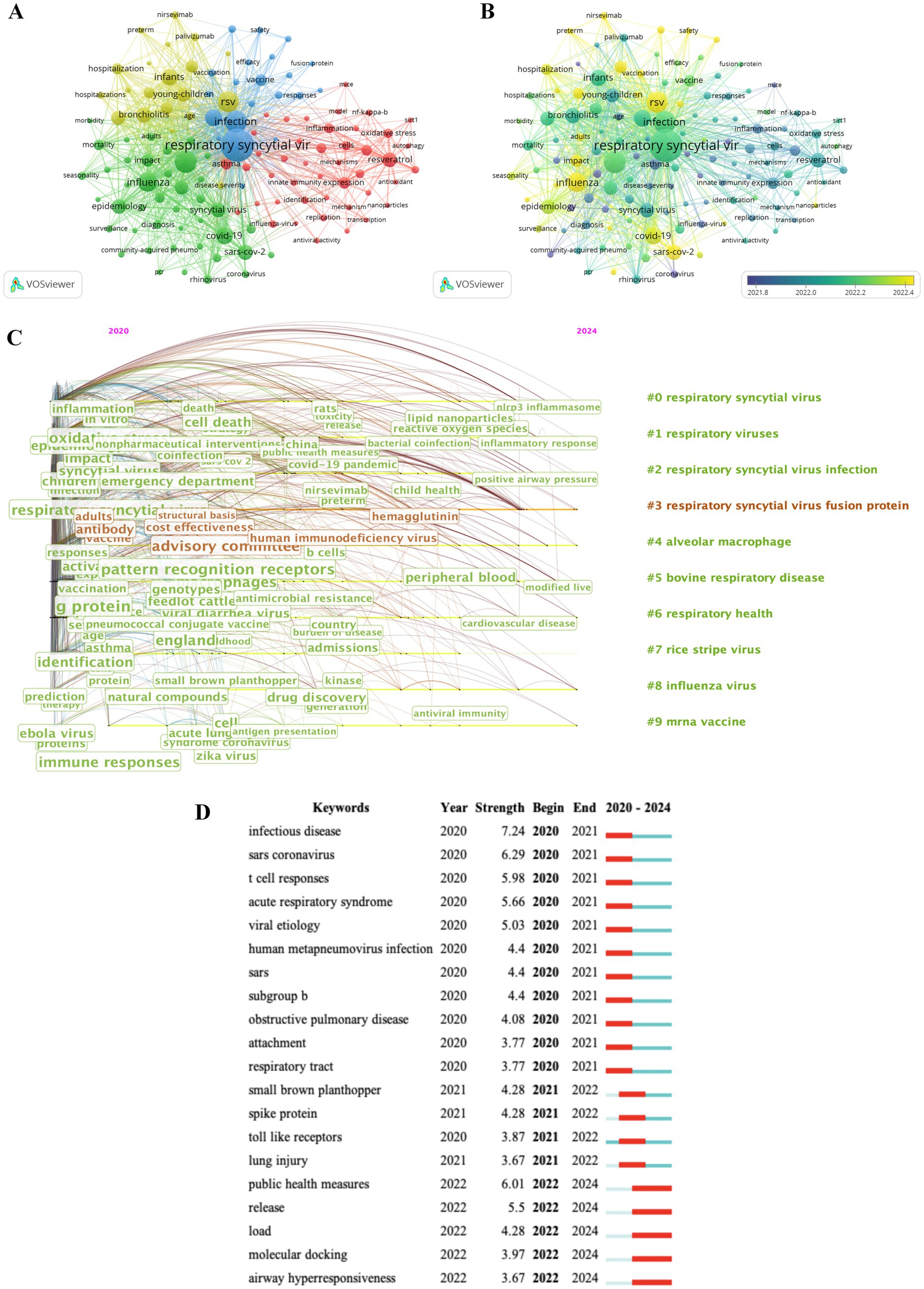 Visualization includes four sections: A and B show network maps of keywords related to respiratory syncytial virus (RSV) from 2020 to 2024. C is a density map highlighting keyword trends and connections. D lists keywords with corresponding strength, years of relevance, and future trends in colored bars from 2020 to 2024.