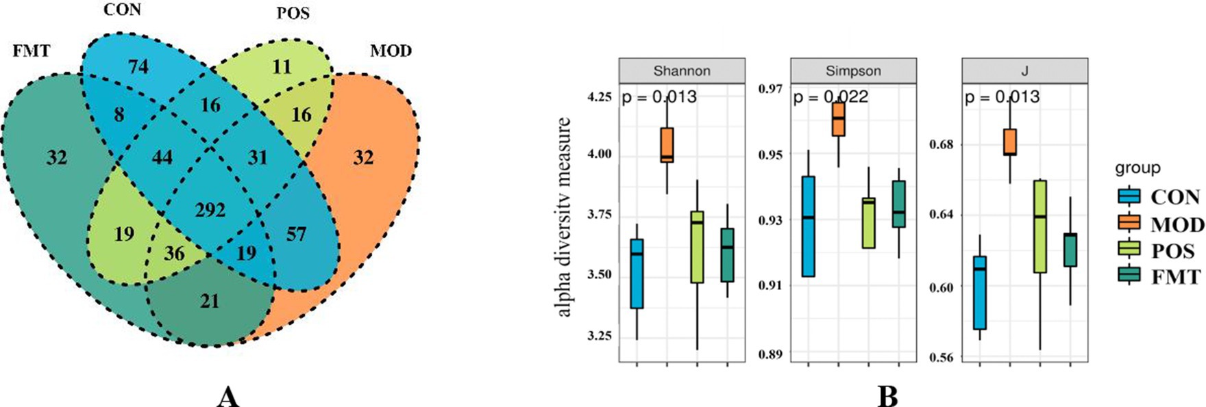 Venn diagram and box plots analyzing microbial diversity across four groups: CON, MOD, POS, and FMT. The Venn diagram shows overlapping and unique species counts. Box plots depict alpha diversity using Shannon, Simpson, and J measures, with significant p-values for each group comparison, indicating differences in diversity.