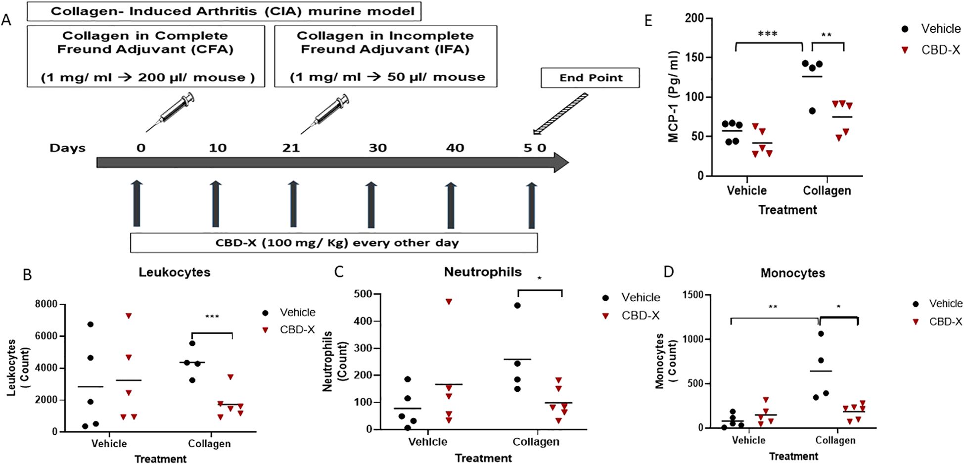 Chart A shows IL-1β levels in various treatments: PBS, LPS, and LPS with CBD-X (1 and 2 µg/ml). LPS significantly increases IL-1β compared to others. Chart B compares DMSO and CBD-X effects on cytokines IL-8, IL-6, and TNF-α, showing significant reductions with CBD-X. Asterisks indicate statistical significance.