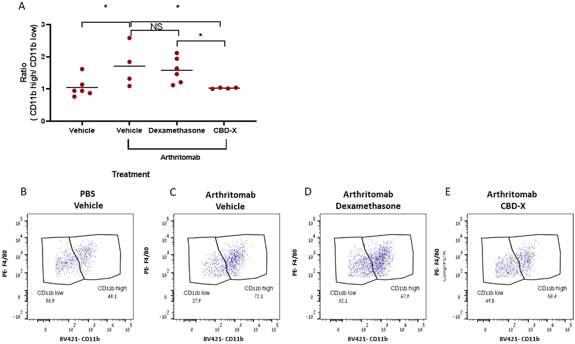 Graph A shows the ratio of CD11b high to CD11b low across different treatments with significant differences marked by asterisks. Plots B to E illustrate flow cytometry dot plots for treatments: PBS Vehicle, Arthritomab Vehicle, Arthritomab Dexamethasone, and Arthritomab CBD-X, indicating CD11b levels with noted percentages for high and low populations.
