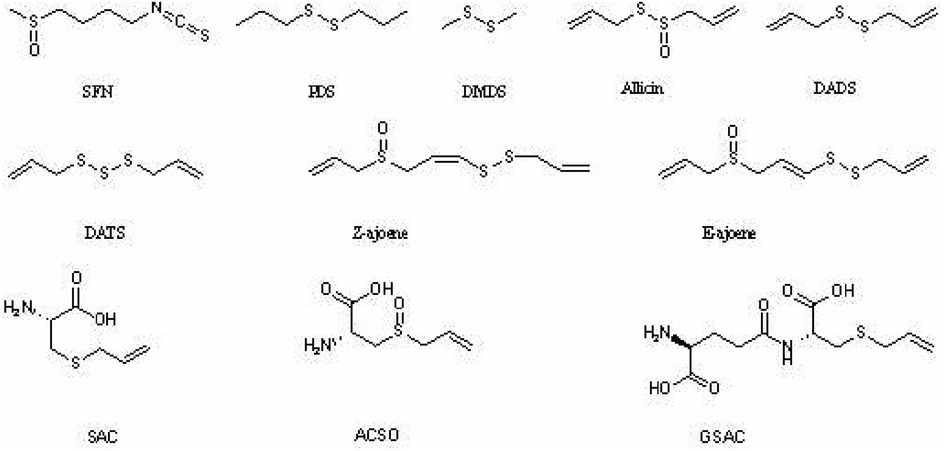 Chemical structures of various sulfur-containing compounds are displayed, including SFN, FDS, DMDS, Allicin, DADS, DATS, Zajoene, Eajoene, SAC, ACSO, and GSAC. Each structure shows different combinations of sulfur and carbon atoms with additional elements or functional groups.