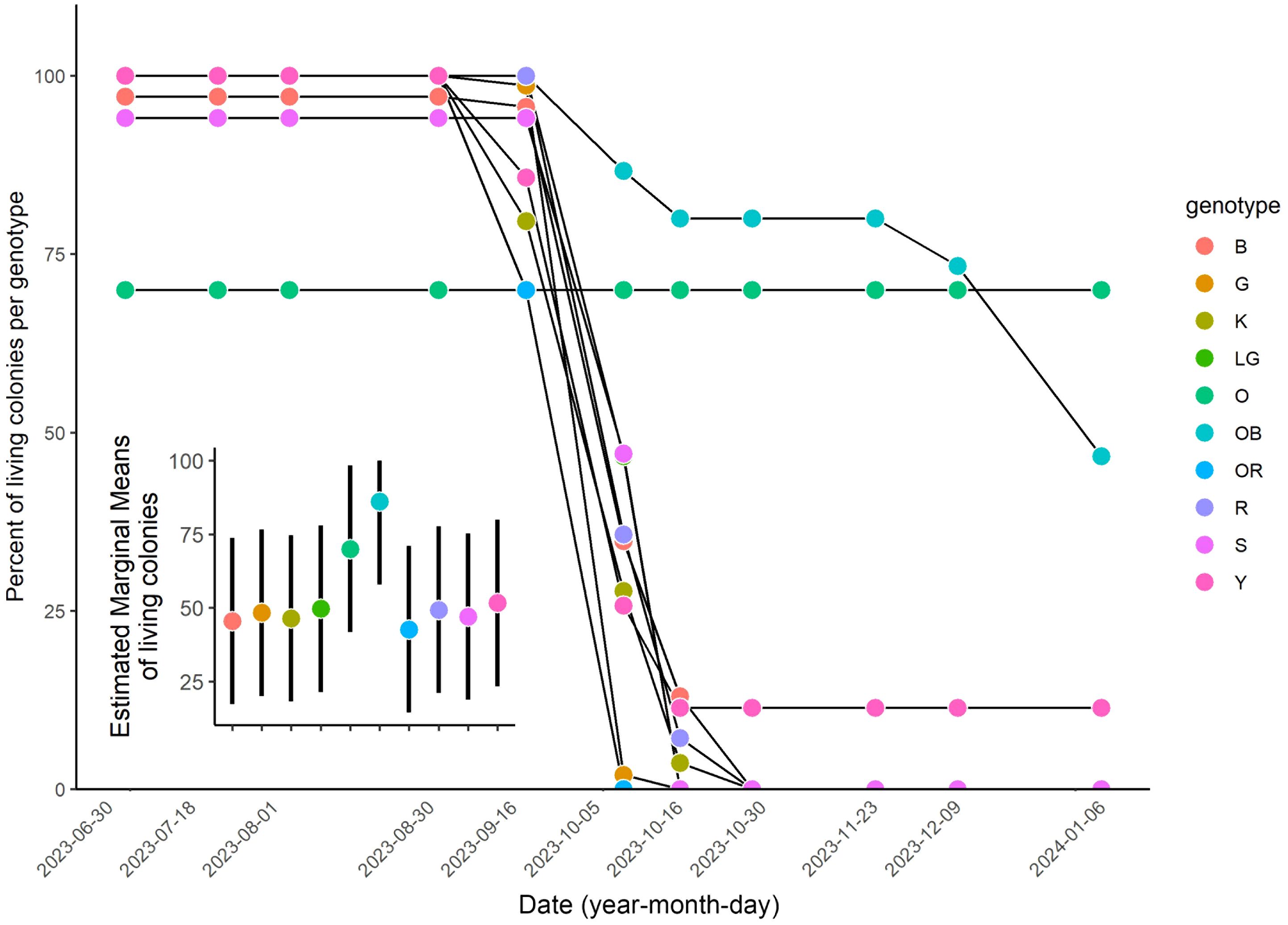 Line graph showing the percentage of living colonies per genotype over time from June 30, 2023, to January 6, 2024. Various colored lines represent different genotypes. Most genotypes show a decline after October 2023. An inset bar chart displays estimated marginal means of living colonies for these genotypes on specific dates.