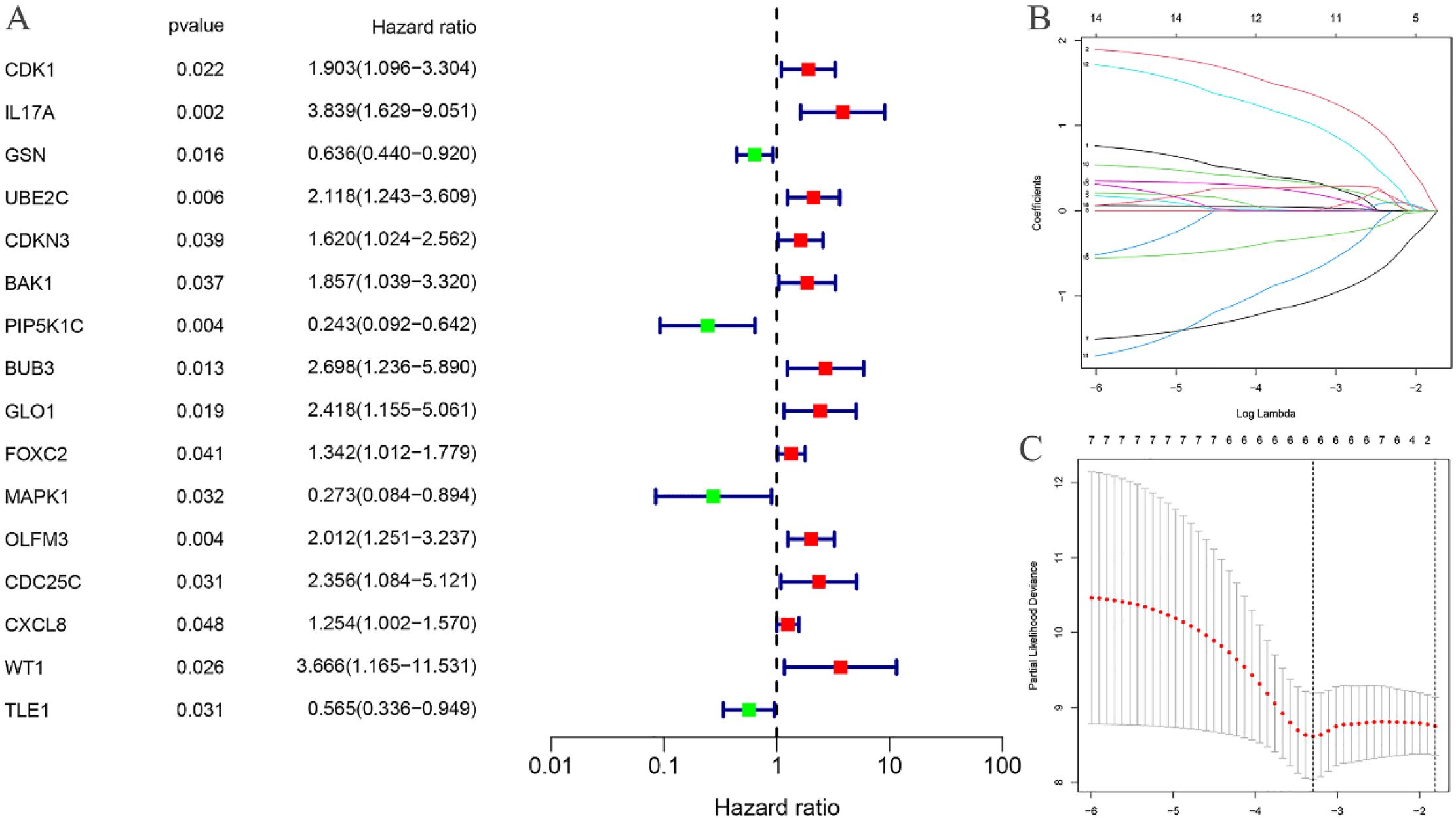 Panel A displays a forest plot showing hazard ratios with 95% confidence intervals for various genes alongside their p-values. Panels B and C show graphs related to coefficients against Log Lambda and Partial Likelihood Deviance, respectively, illustrating statistical analyses, likely from a regression model study.