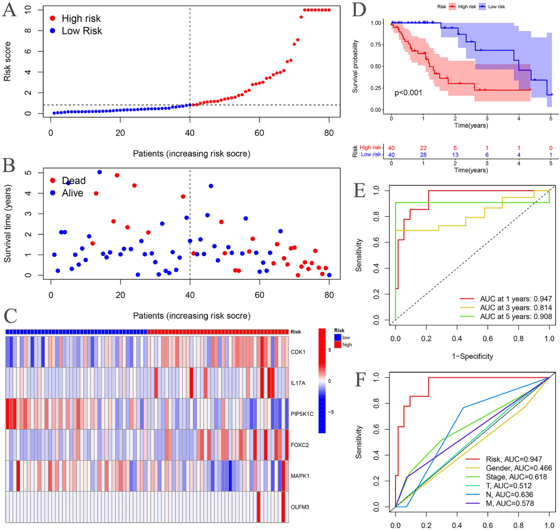 Figure with six panels analyzing risk scores and survival in patients: A: Scatter plot showing risk scores of patients, with high risk in red and low risk in blue. B: Scatter plot of survival time, showing deceased and alive patients, differentiated by color. C: Heatmap of gene expression for six genes, indicating low to high risk. D: Survival probability plot, with significant difference between high and low risk groups. E: ROC curve illustrating area under the curve (AUC) for 1, 3, and 5 years. F: ROC curve comparing AUC for various factors like risk, gender, and stage.