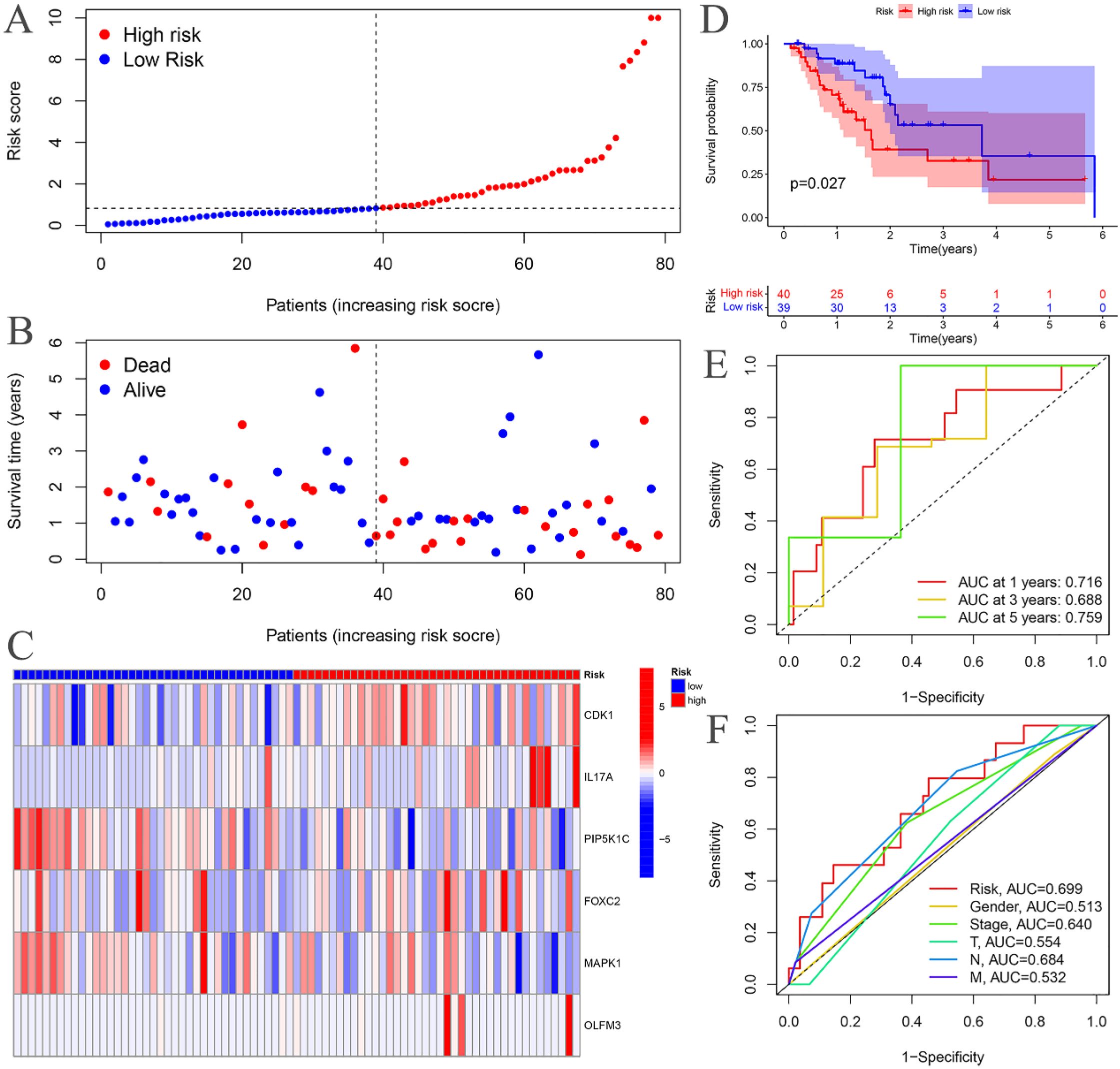Composite image with six panels: A. Dot plot showing risk scores of patients, with high risk in red and low risk in blue. Scores increase from left to right. B. Scatter plot with survival time of patients, dots colored by alive (blue) or dead (red) status. C. Heatmap displaying gene expression levels across patients, transitioning from blue (low) to red (high) with genes listed on the left. D. Kaplan-Meier survival curve comparing high and low risk groups, showing survival probability over six years with a p-value of 0.027. E. ROC curve for sensitivity vs. 1-specificity at one, three, and five years, with AUC values provided. F. Multiple ROC curves comparing different factors affecting prognosis, with respective AUC values.