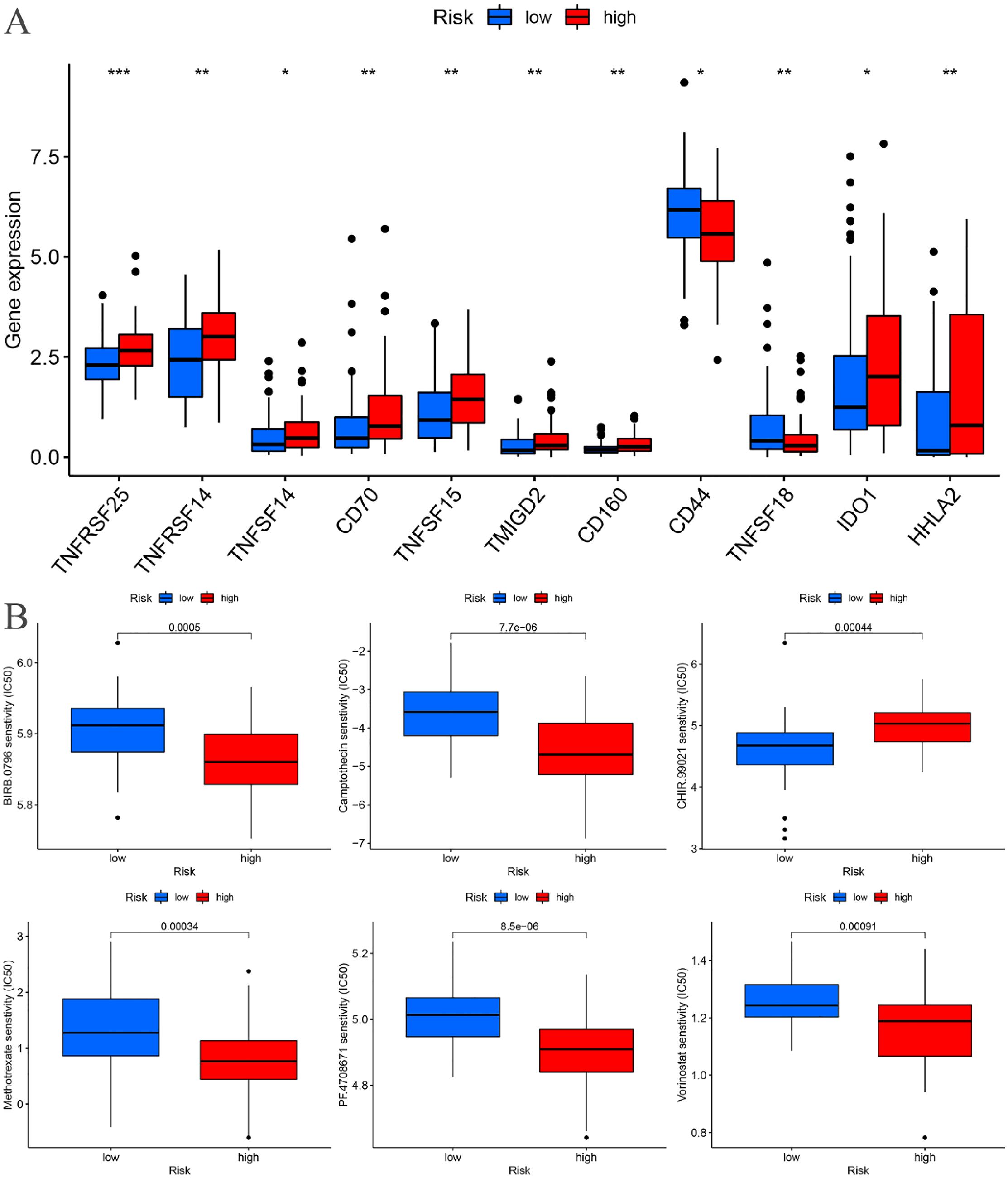 Graphical figures show gene expression and drug sensitivity analysis. Panel A features box plots comparing gene expression levels in low and high-risk groups for genes including TNFRSF25, TNFRSF14, and others, with significant differences indicated. Panel B presents box plots of drug sensitivity (IC50 values) for different treatments like BIRB0796 and Camptothecin, comparing low and high-risk groups, with p-values denoting significance.