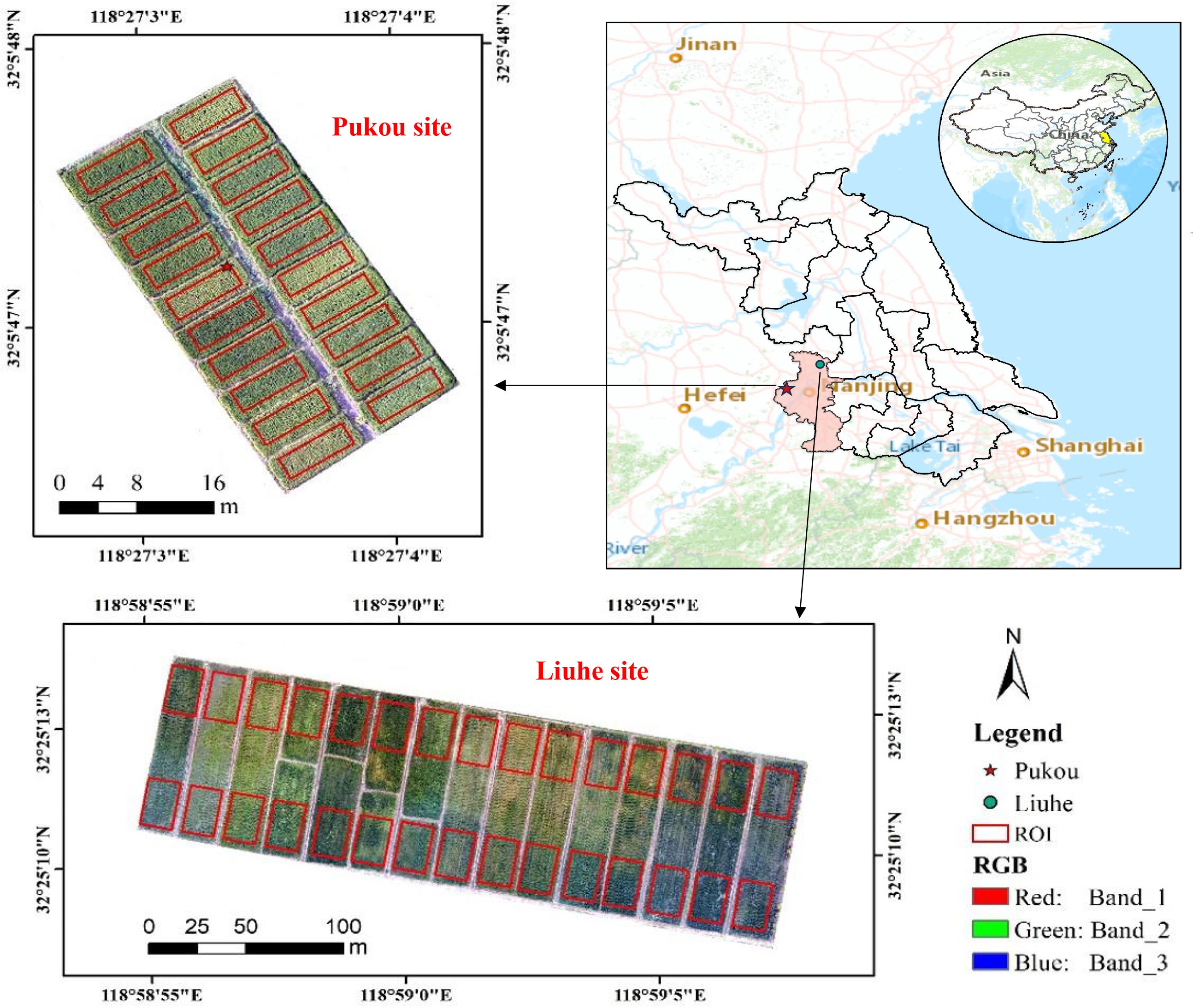 Map with three panels: Panel A shows a regional map of part of China, highlighting cities like Jinan, Hefei, Nanjing, Shanghai, and Hangzhou, with an inset of China for context. Panels B and C display satellite imagery of agricultural fields, marked with red rectangles indicating regions of interest (ROI). Both include scalebars and a legend explaining RGB color bands for analysis.