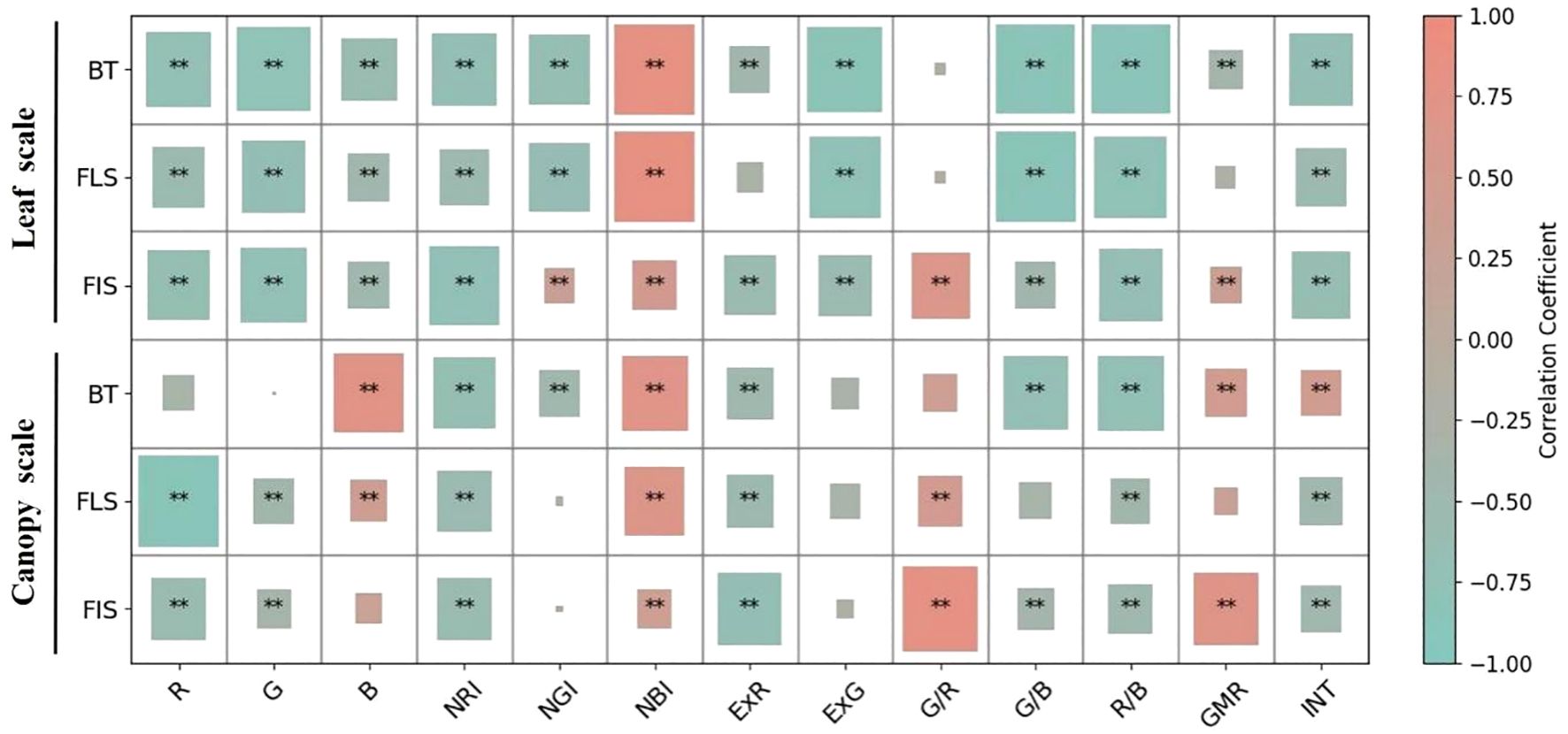 Correlation matrix showing relationships between different metrics at leaf and canopy scales. Positive correlations are in green, negative in red, with varying intensities denoting strength. A color bar on the right indicates the correlation coefficient range from -1 to 1.