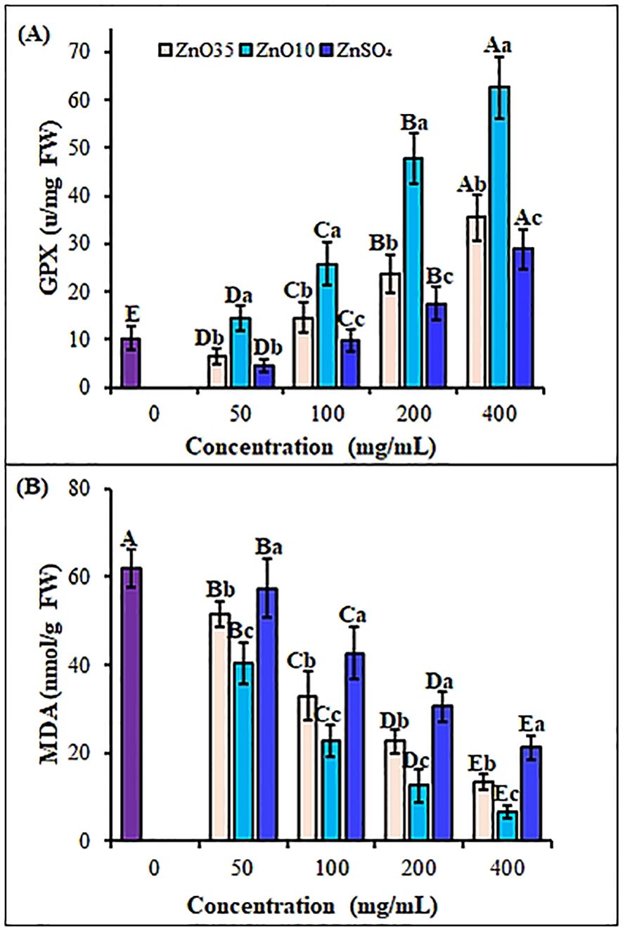 Bar charts showing effects of ZnO35, ZnO10, and ZnSO4 on GPX and MDA levels at various concentrations. In chart A, GPX levels increase with higher concentrations, notably with ZnO10. Chart B shows MDA decreasing significantly as concentration increases, especially with ZnO35. Error bars indicate variability.