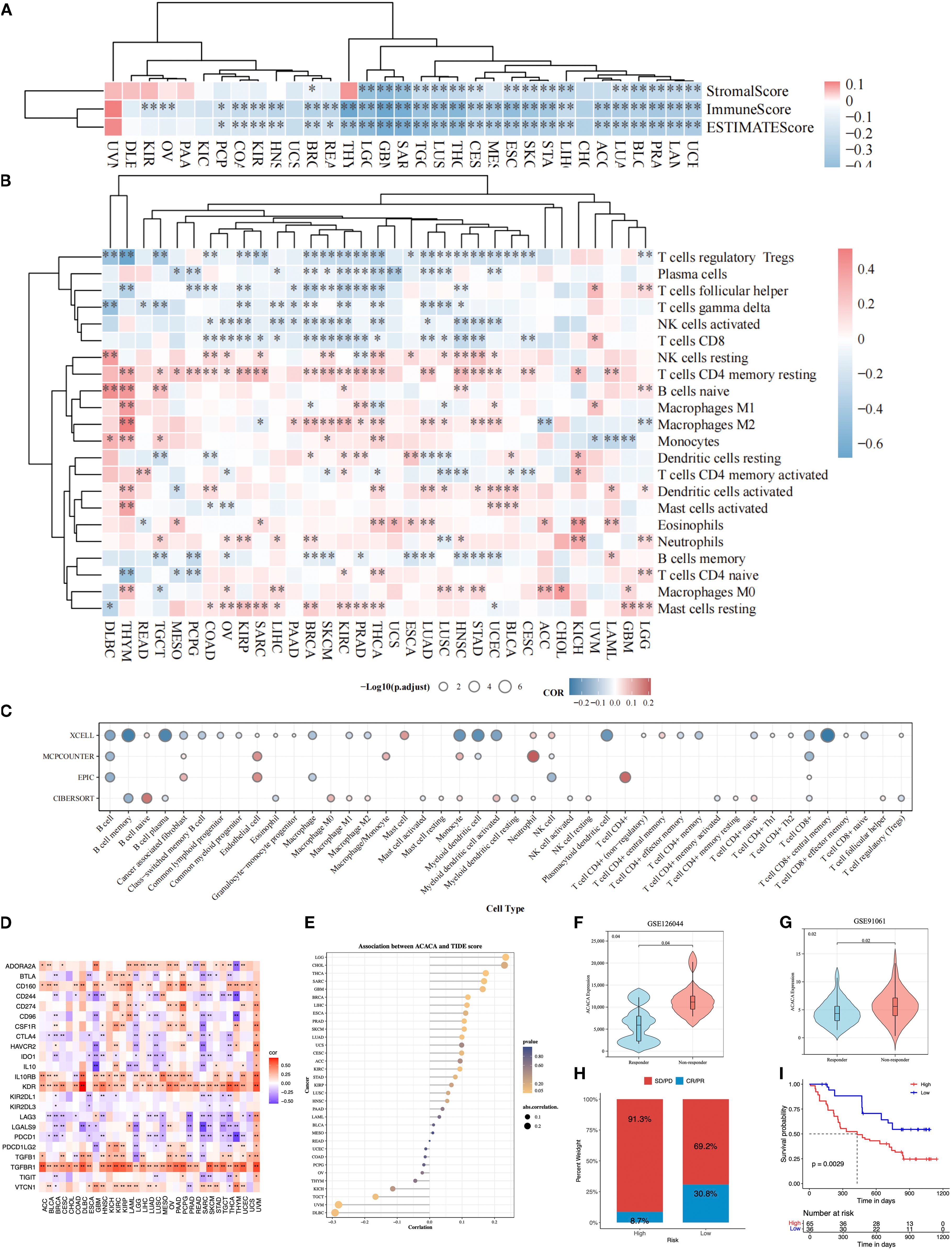 Clustered heatmaps and charts illustrating immune microenvironment analysis in cancer research. Panel A shows stromal, immune, and ESTIMATE scores. Panel B details immune cell infiltration in tumors stratified by ACACA expression. Panel C presents bubble plots for immune cell infiltration results from different algorithms. Panel D displays a gene expression heatmap. Panel E shows gene and TME score associations. Panels F and G feature violin plots of expression data. Panel H displays bar graphs of expression levels, while Panel I includes a Kaplan-Meier plot for survival analysis. Colors range from red to blue, indicating various data values and significances.