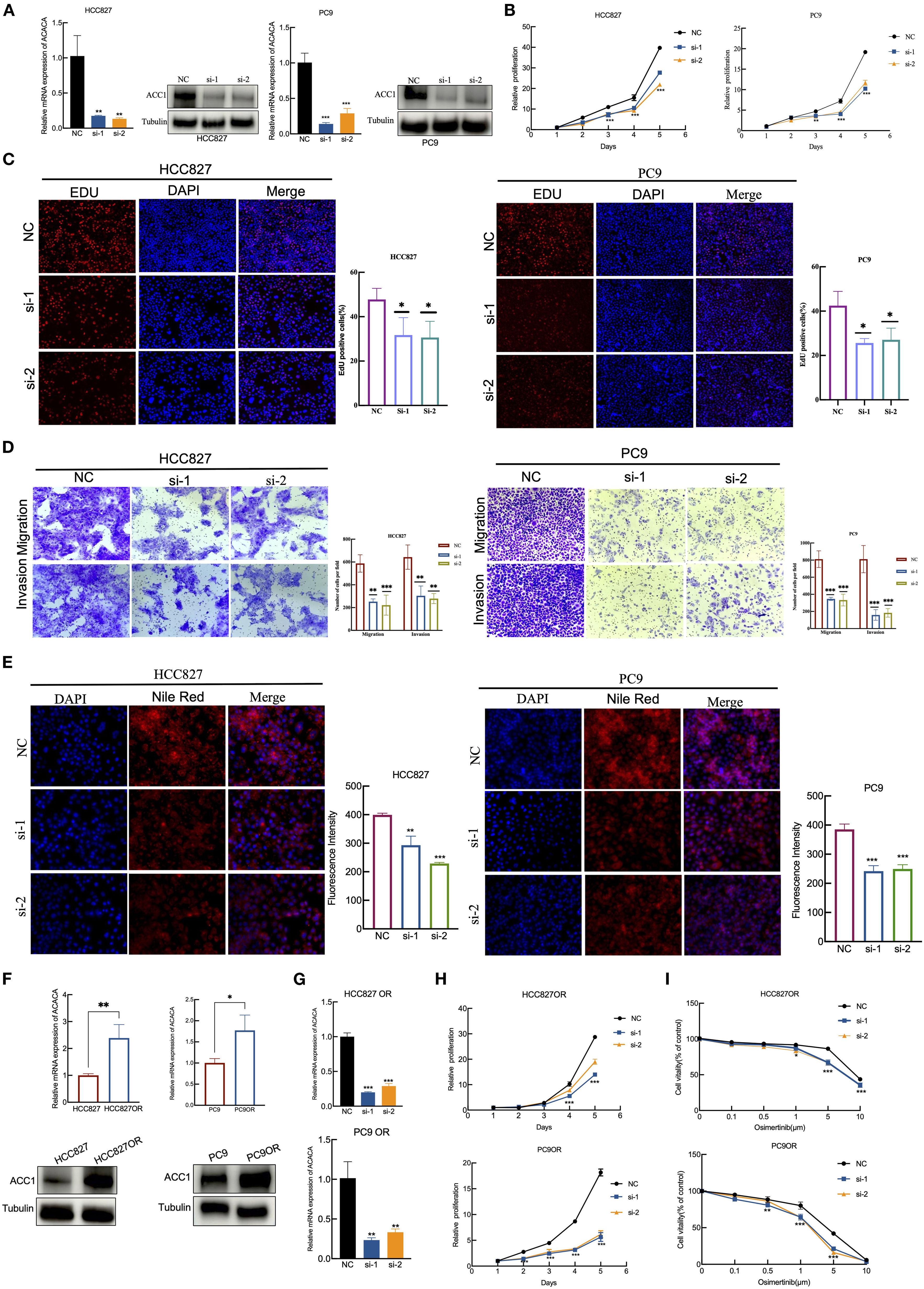Scientific image illustrating experimental results on HCC827 and PC9 cell lines. Panels A, F, and G show mRNA expression levels; B and H depict cell proliferation over days; C and E visualize fluorescence staining for cell proliferation and lipid content; D shows invasion and migration assays. Statistical significance is indicated by asterisks. Panel I displays cell viability under osimertinib treatment. Bar graphs accompany most panels, indicating quantitative analyses.