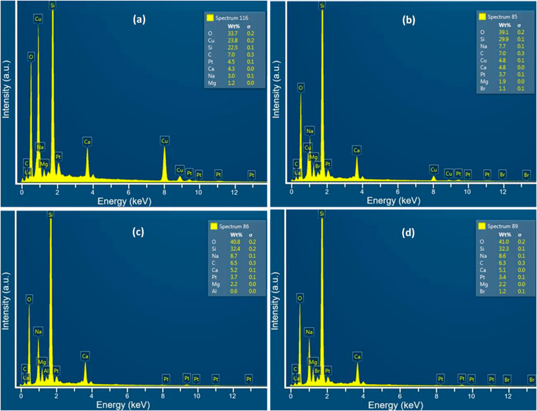 Four energy-dispersive X-ray spectroscopy (EDS) graphs labeled (a) to (d), each showing intensity versus energy in keV. Peaks represent elements like O, Cu, Si, Na, Mg, Pt, and Ca. Insets provide weight percentages for each element in their respective spectra. Each spectrum presents variations in elemental composition, indicated by differing peak intensities and element concentrations.