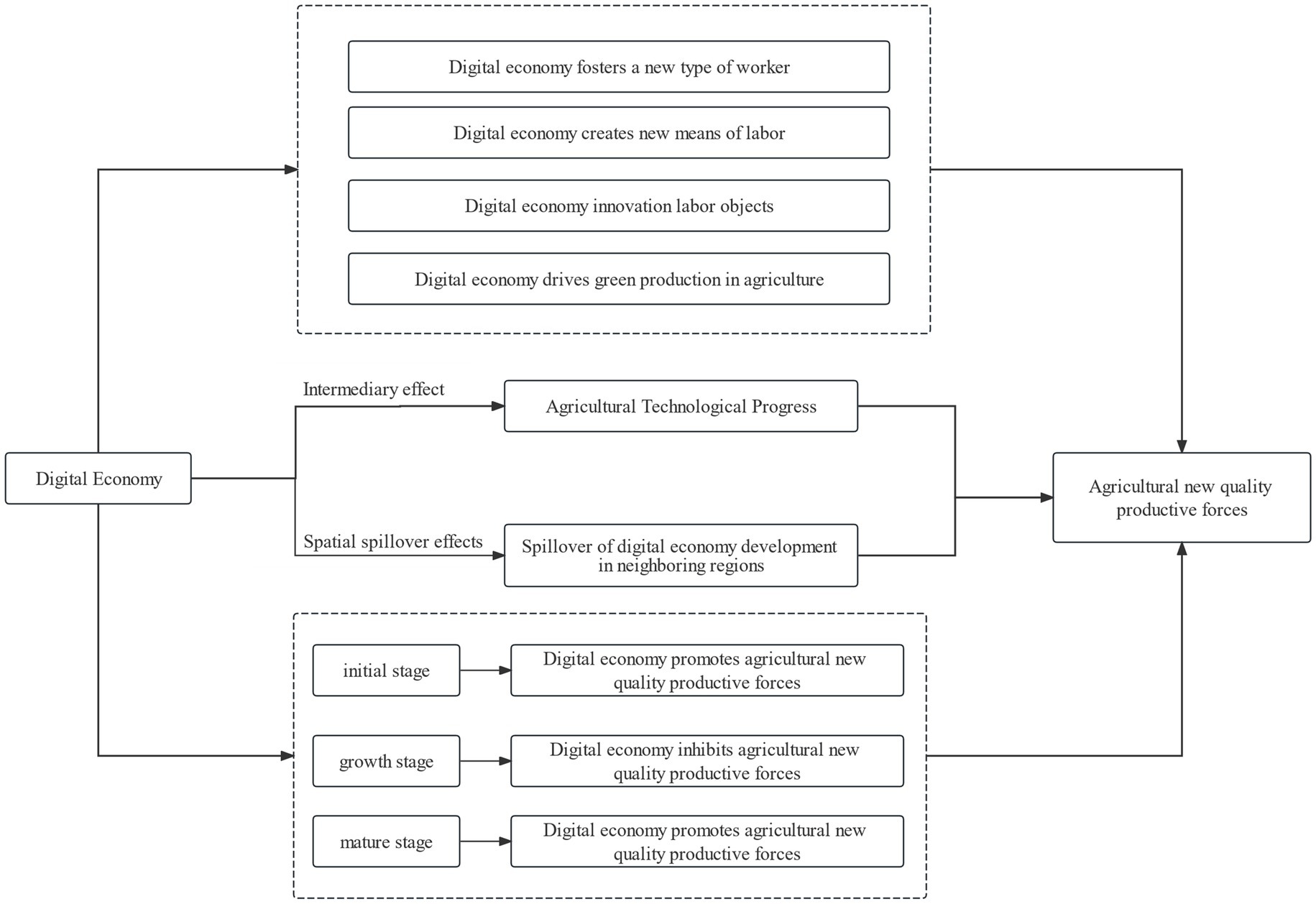 Flowchart illustrating the influence of the digital economy on agricultural productivity. It includes intermediary effects leading to agricultural technological progress and spatial spillover effects affecting neighboring regions. The digital economy fosters new worker types, means of labor, innovation, and green agricultural production. The chart outlines stages: initial, growth, and mature, illustrating varying impacts on agricultural productive forces.