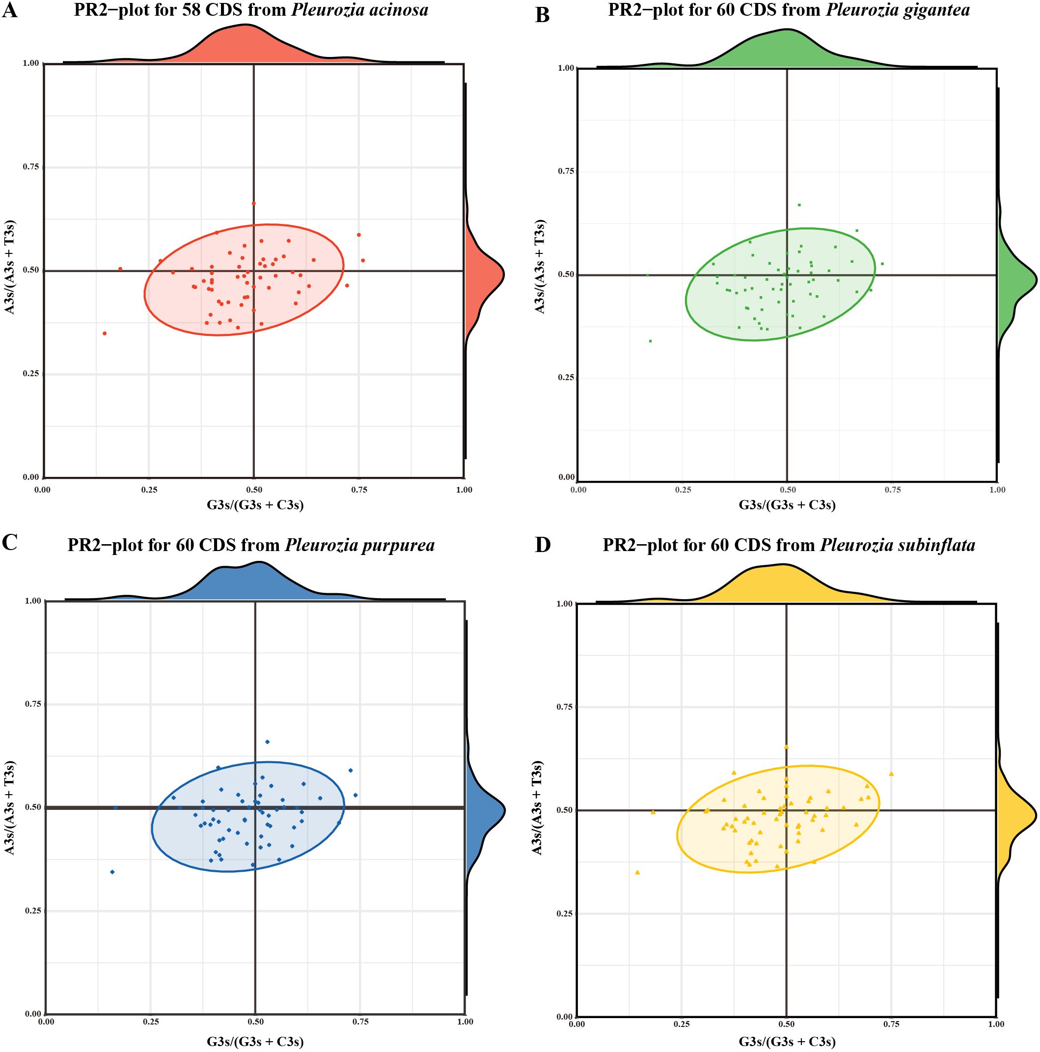 Set of four PR2 plots comparing coding sequences from Pleurozia species. Plot A shows Pleurozia acinosa with red data, plot B shows Pleurozia gigantea with green data, plot C shows Pleurozia purpurea with blue data, and plot D shows Pleurozia subinflata with yellow data. Each plot displays a scatter distribution with overlaid density curves, focusing on G versus C skew and A versus T skew.