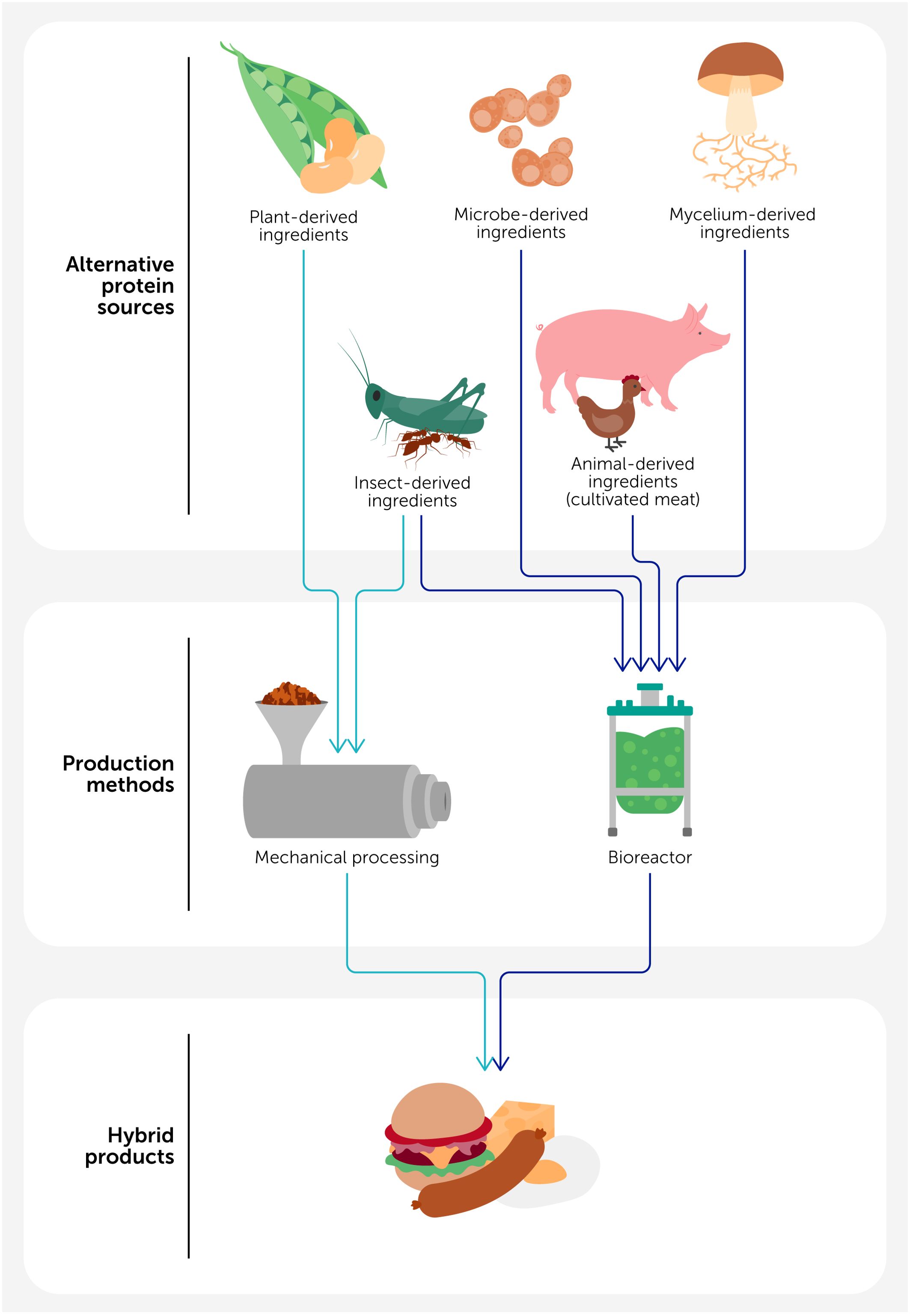 Diagram depicting alternative protein sources, production methods, and hybrid products. Sources include plant, microbe, mycelium, insect, and animal-derived ingredients. Production methods are mechanical processing and bioreactors, leading to hybrid products like burgers and sausages.