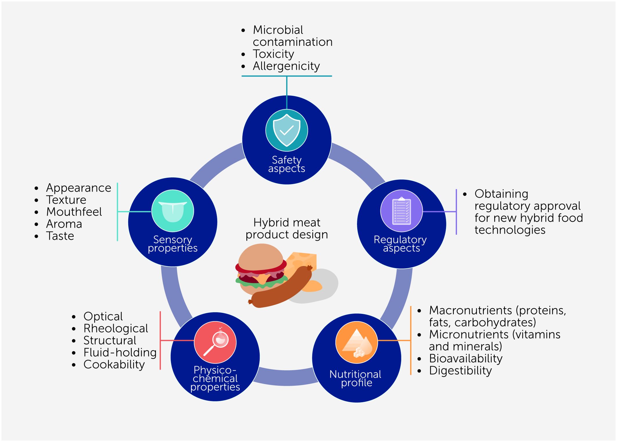 Diagram depicting the five properties considered in hybrid meat product design: Safety, Regulatory, Nutritional, Physico-chemical, and Sensory. Safety covers microbial contamination, toxicity, and allergenicity of the new product. Regulatory refers to obtaining approval. Nutritional includes macronutrients, micronutrients, bioavailability, and digestibility. Physico-chemical involves optical, rheological, structural, fluid-holding, and cookability attributes. Sensory covers appearance, texture, mouthfeel, aroma, and taste. At the center, an illustration of a burger and sausage represents the most common hybrid products.