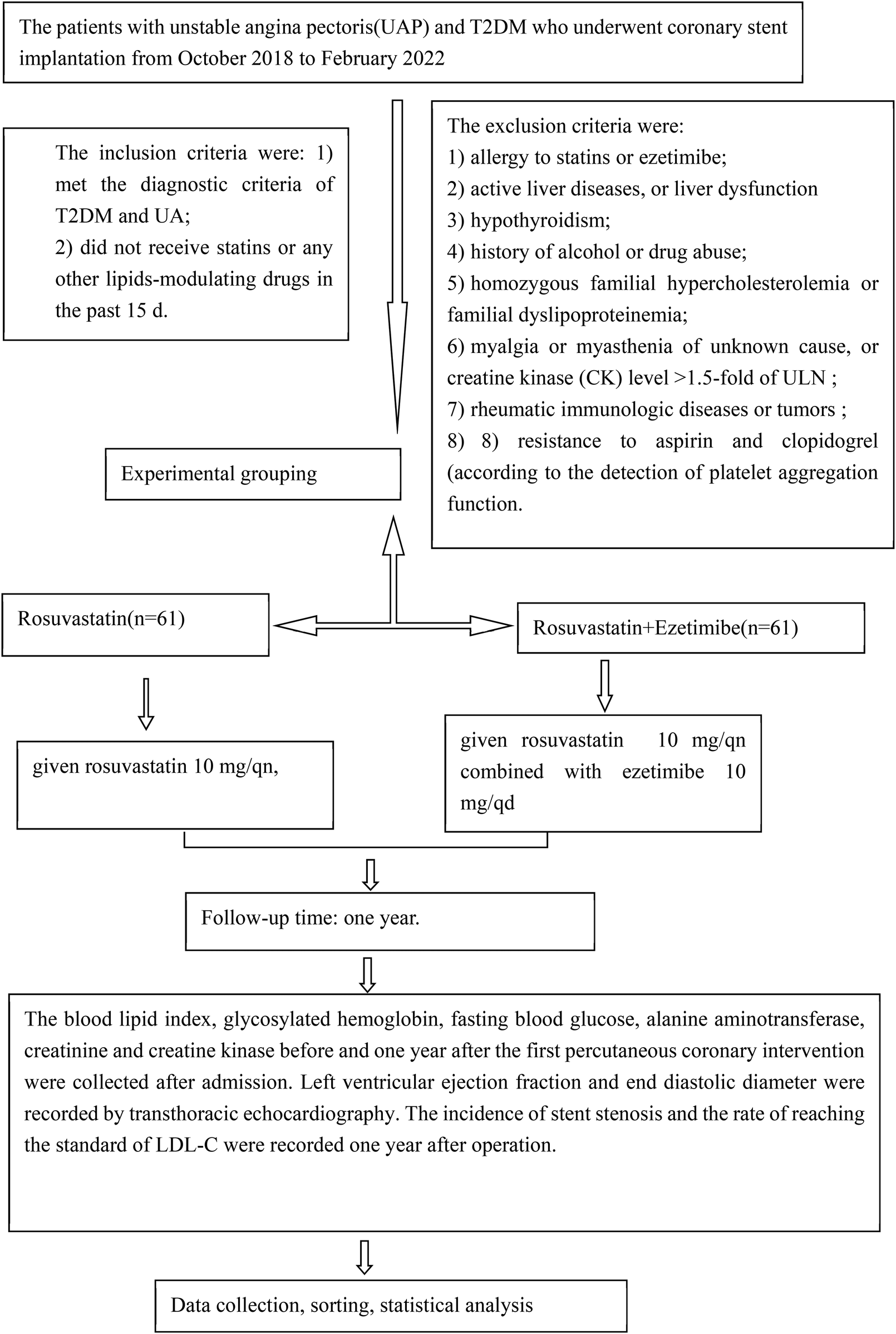 Flowchart illustrating the study process for patients with unstable angina pectoris and type 2 diabetes from October 2018 to February 2022. Inclusion criteria included meeting diagnostic criteria and having no recent statin use. Exclusion criteria involved allergies, liver dysfunction, hypothyroidism, and other health issues. Patients were divided into two groups: one receiving rosuvastatin and the other receiving rosuvastatin with ezetimibe. Both groups were followed for one year. Data on blood lipids, liver enzymes, and heart function were collected and analyzed.