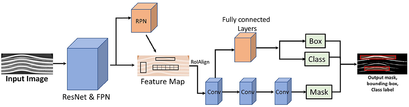 Flowchart depicting a Mask R-CNN process. An input image is processed through ResNet and FPN to create a feature map. The RPN proposes regions, followed by RoIAlign. Fully connected layers predict a box and class, while convolutional layers produce a mask. The output includes a mask, bounding box, and class label.