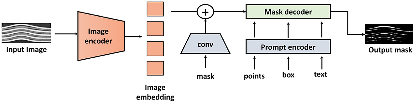Diagram showing an image processing workflow. An input image is processed by an image encoder, resulting in image embeddings. These embeddings are combined with a mask using a convolution operation. A prompt encoder processes points, box, and text inputs. The results are passed to a mask decoder, producing an output mask.
