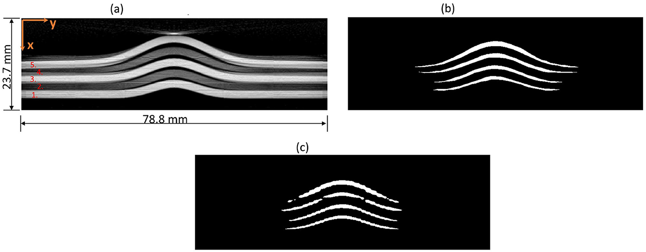 (a) CT slice of synthetic data shows layered structures with dimensions labeled as 78.8 mm by 23.7 mm. (b) Hand-annotated mask displays the damage features outlined in white. (c) Detectron2 mask highlights similar features with subtle differences in contour details.