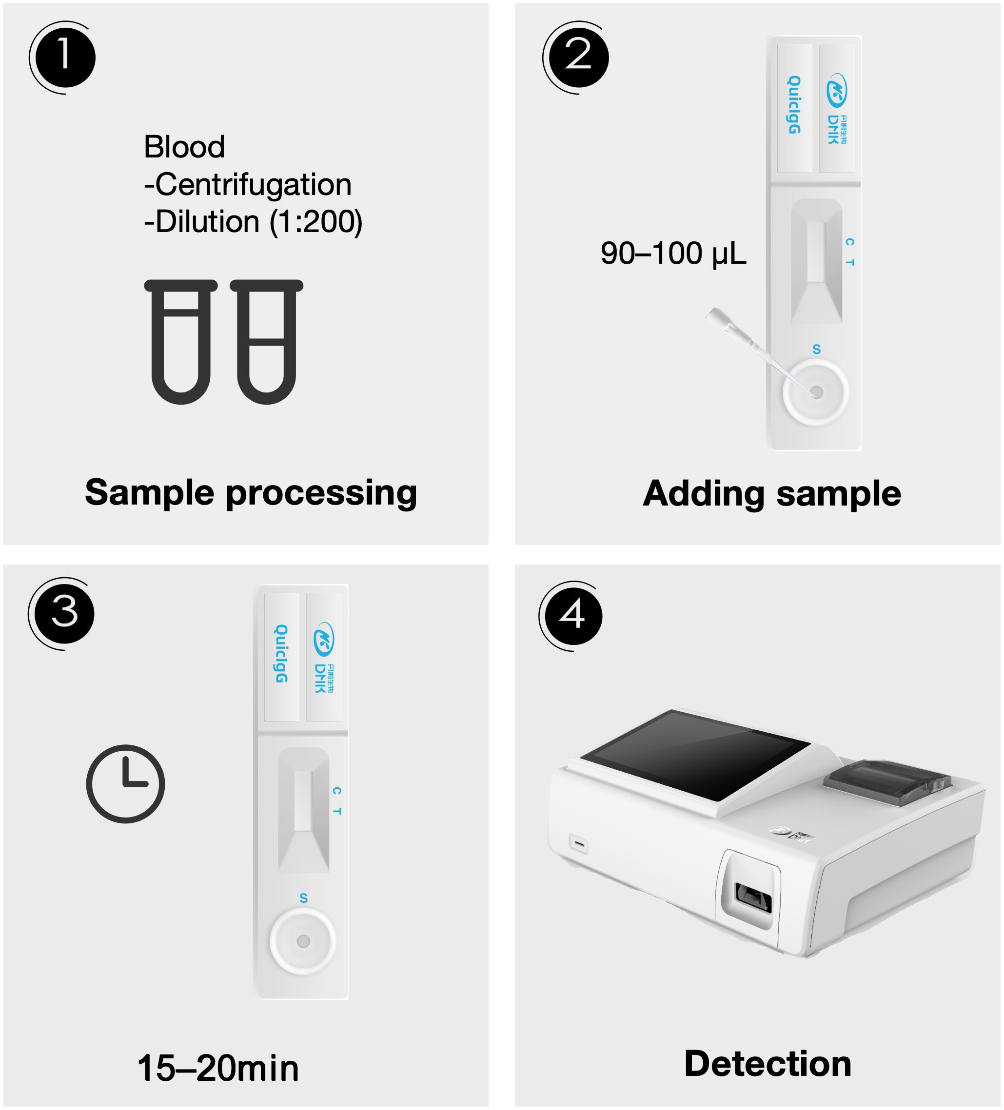 Flowchart depicting a four-step testing procedure.Step 1: Bloodsample processing involves centrifugation and dilution at a ratio of one to two hundred. Step 2: Adding ninety to one hundred microliters of the sample. Step 3: Waiting fifteen totwenty minutesfor the results. Step 4: Detection using a device.