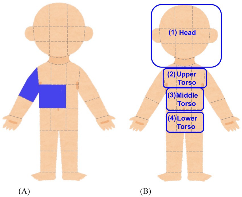 Illustration showing two human figures. Figure (A) shows how the left upper arm and upper torso are highlighted in blue. Figure (B) divides the body into four labeled sections: (1) head, (2) upper torso, (3) middle torso, and (4) lower torso.