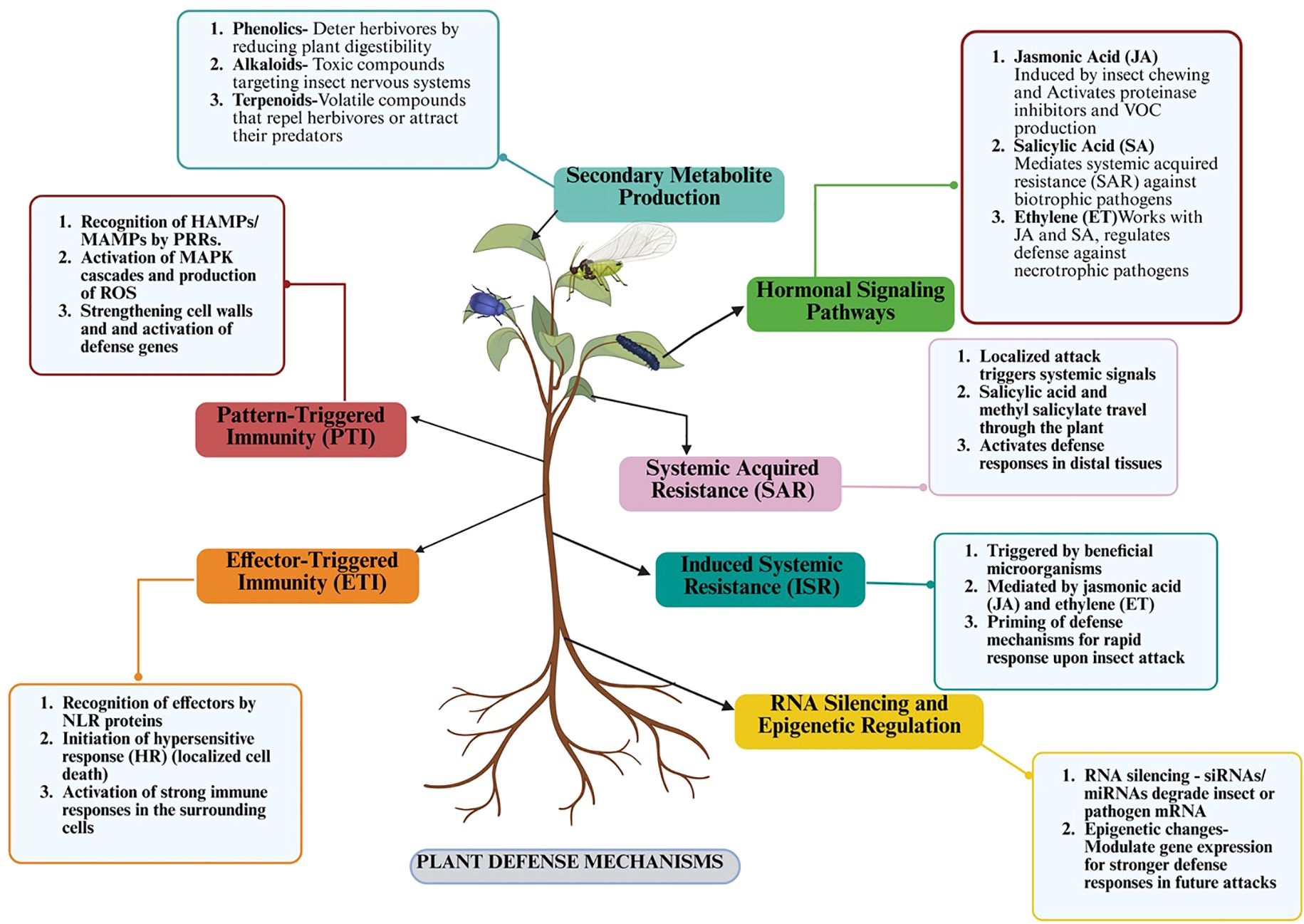 Diagram of plant defense mechanisms featuring a central plant illustration with six interconnected components: Secondary Metabolite Production, Hormonal Signaling Pathways, Pattern-Triggered Immunity (PTI), Effector-Triggered Immunity (ETI), Systemic Acquired Resistance (SAR), and Induced Systemic Resistance (ISR). Textboxes describe the roles of each mechanism, including secondary metabolite compounds, hormonal pathways involving jasmonic and salicylic acids, and immunity strategies against herbivores and pathogens. RNA silencing and epigenetic regulation are also highlighted, which contribute to plant defense by degrading mRNA and modulating gene expression.