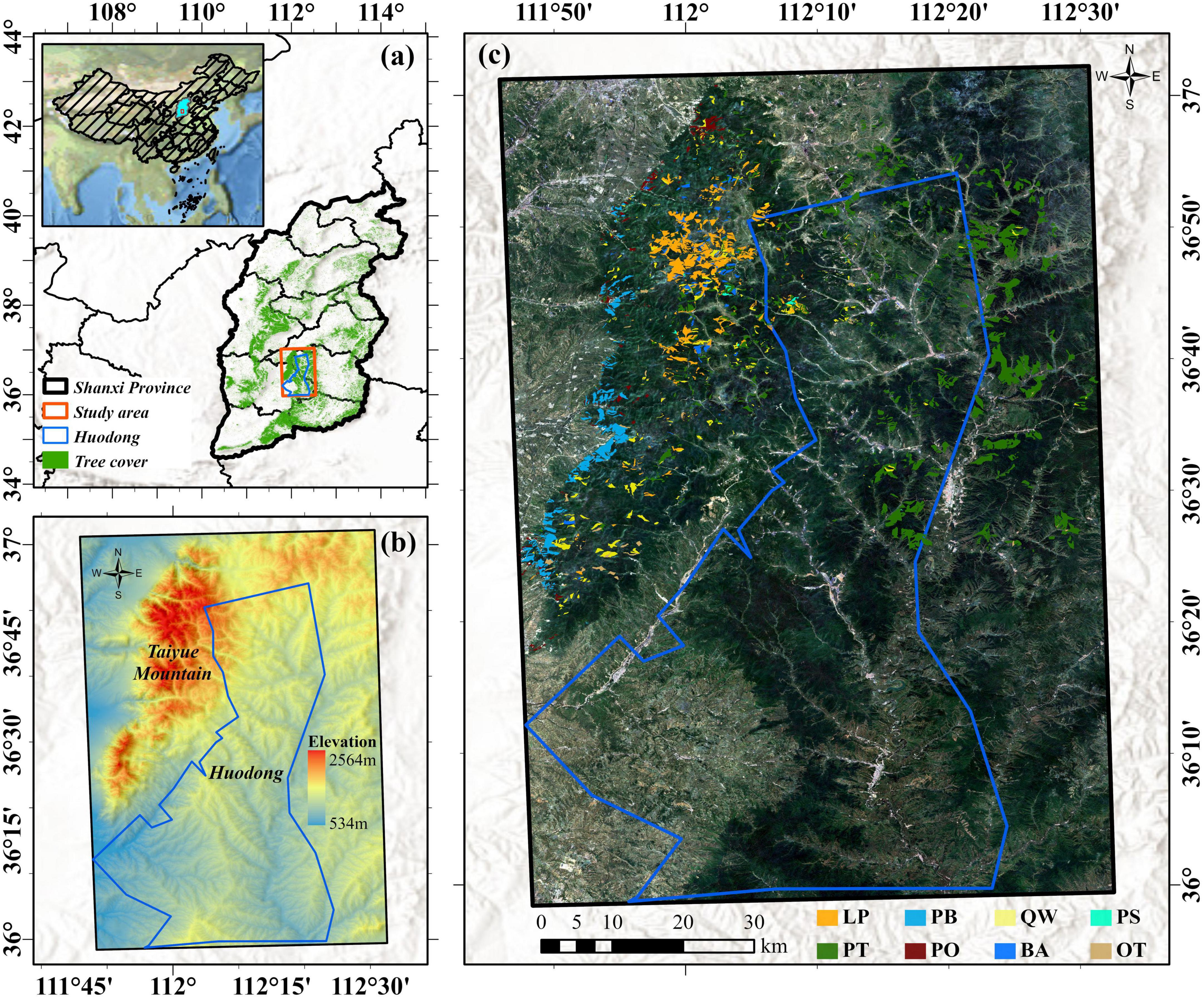 Map series displaying an area in Shanxi Province, China. Panel (a) highlights Shanxi, marking the study area, Huodong, and tree cover. Panel (b) shows an elevation map of the Taiyue Mountain and Huodong, with elevations ranging from 534 to 2564 meters. Panel (c) is a satellite image outlining the study area with various land covers or vegetation types marked by different colors.
