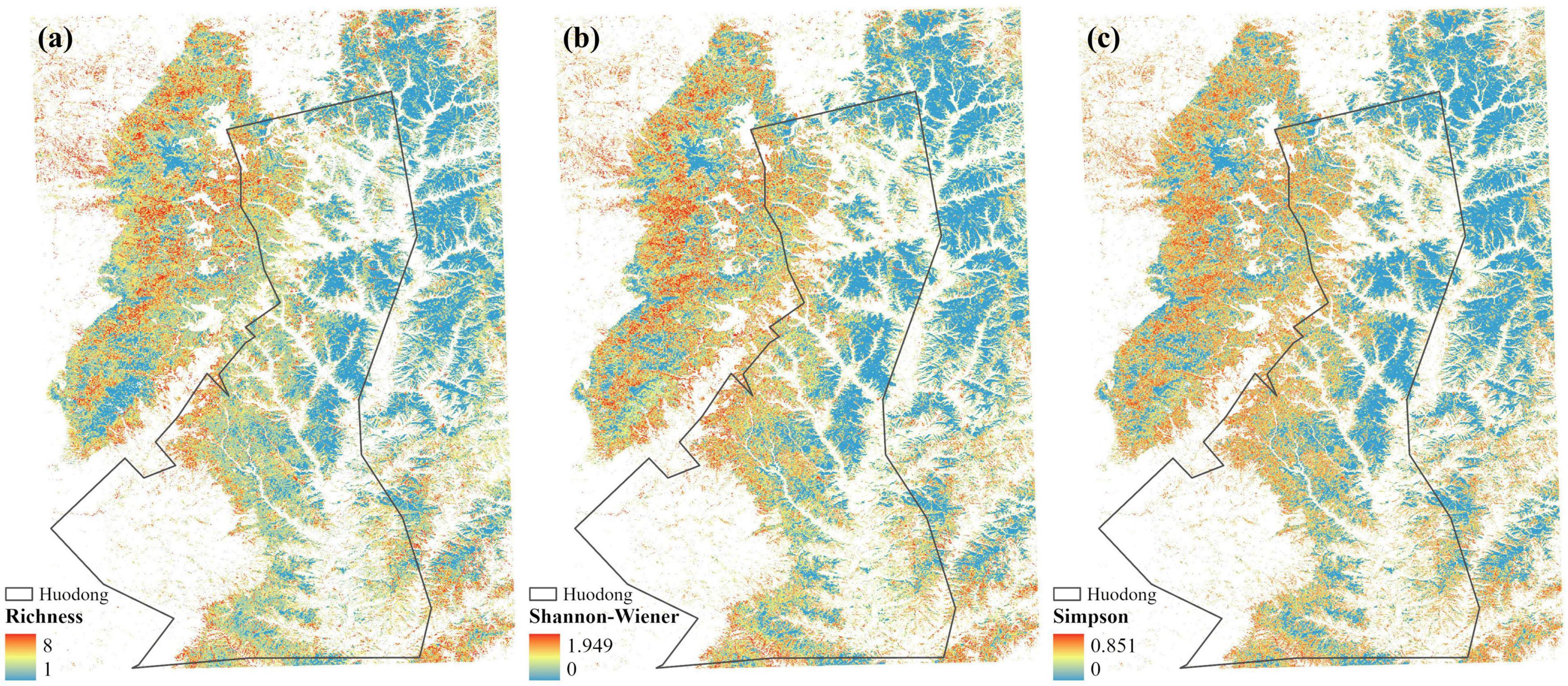 Three maps show biodiversity metrics for Huodong. Map (a) depicts species richness with values from 1 to 8. Map (b) displays the Shannon-Wiener index ranging from 0 to 1.949. Map (c) illustrates the Simpson index from 0 to 0.851. Each map uses a similar color gradient to represent values within the outlined Huodong region.