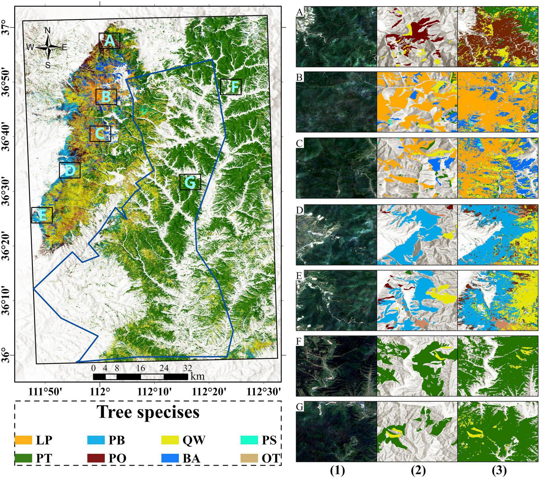 Map showing tree species distribution over a defined area with labeled sections A to G. Each section has corresponding satellite images showing terrain and vegetation. The legend identifies different tree species with colors: LP (yellow), PB (blue), QW (green), PS (light blue), PT (maroon), PO (orange), BA (dark blue), OT (beige). A scale bar and compass indicate orientation and distance. Sections A to G are detailed with smaller comparative images, highlighting regional vegetation and landscape features.