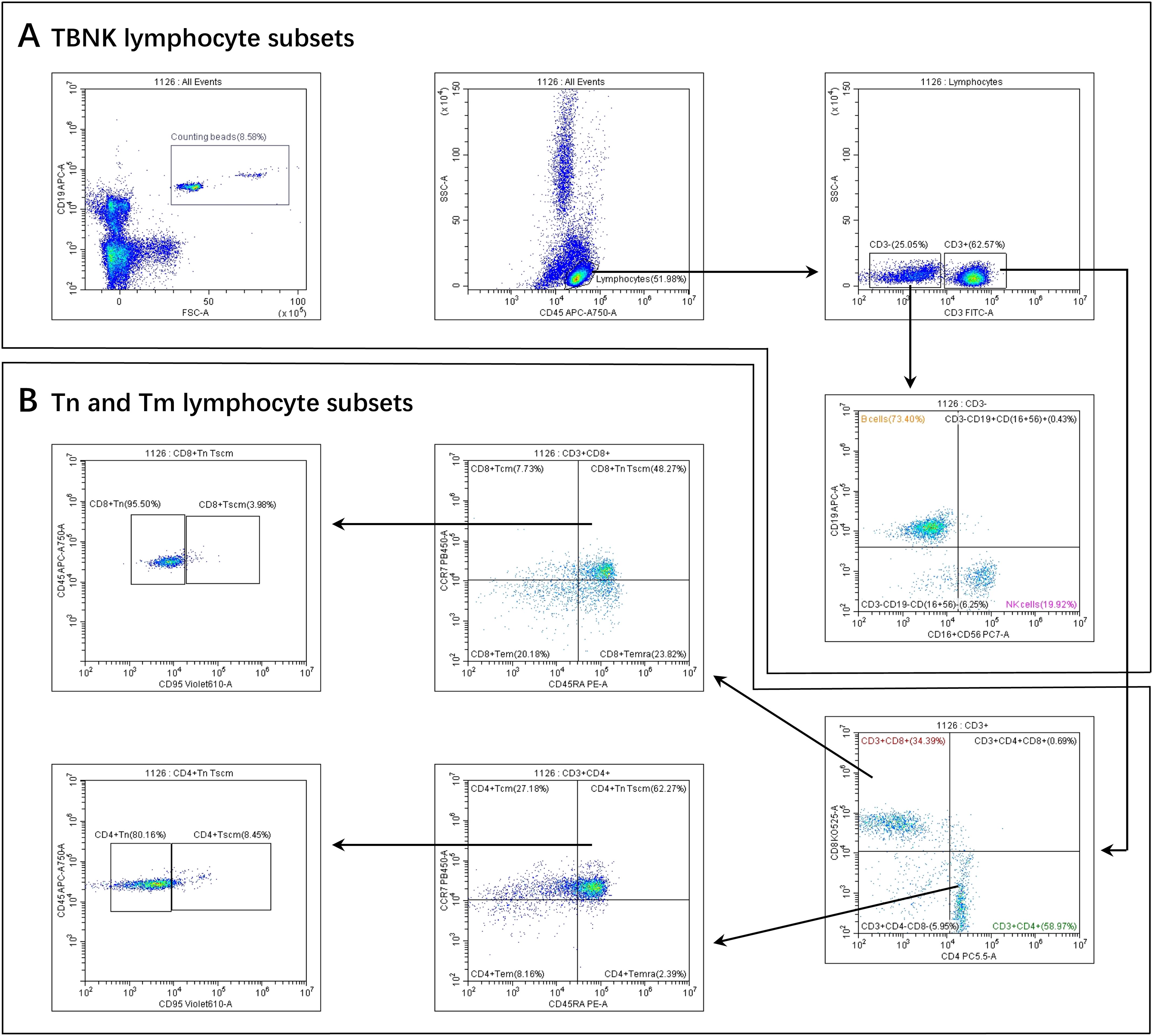 Flow cytometry plots illustrating lymphocyte subsets. Panel A shows TBNK subsets with plots for counting beads and CD3+ lymphocytes. Panel B focuses on Tn and Tm lymphocyte subsets with plots for CD8+ and CD4+ naïve and memory T cells, indicating percentages for each subset. Blue dot clusters represent cell populations with labeled axes showing fluorescence intensity. Arrows guide the progression between plots.