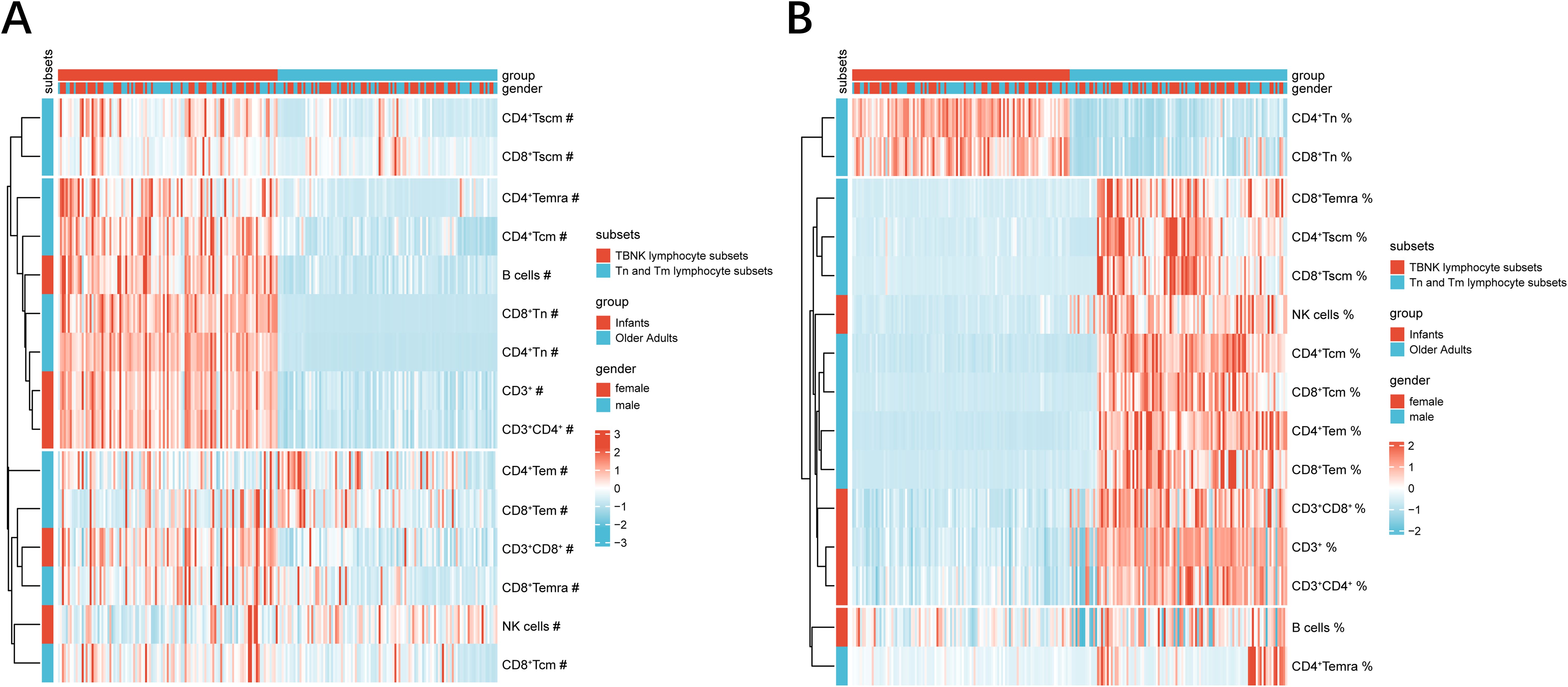 Two heatmaps labeled A and B compare lymphocyte subsets by group and gender. Rows represent different lymphocyte markers, and columns represent individuals divided into subsets and groups. Red and blue colors indicate variations in lymphocyte levels. Legends show colors for lymphocyte subsets (TBNK and Tn/Tm), groups (Infants and Older Adults), and genders (female and male), with a scale from negative three to positive three indicating expression levels.