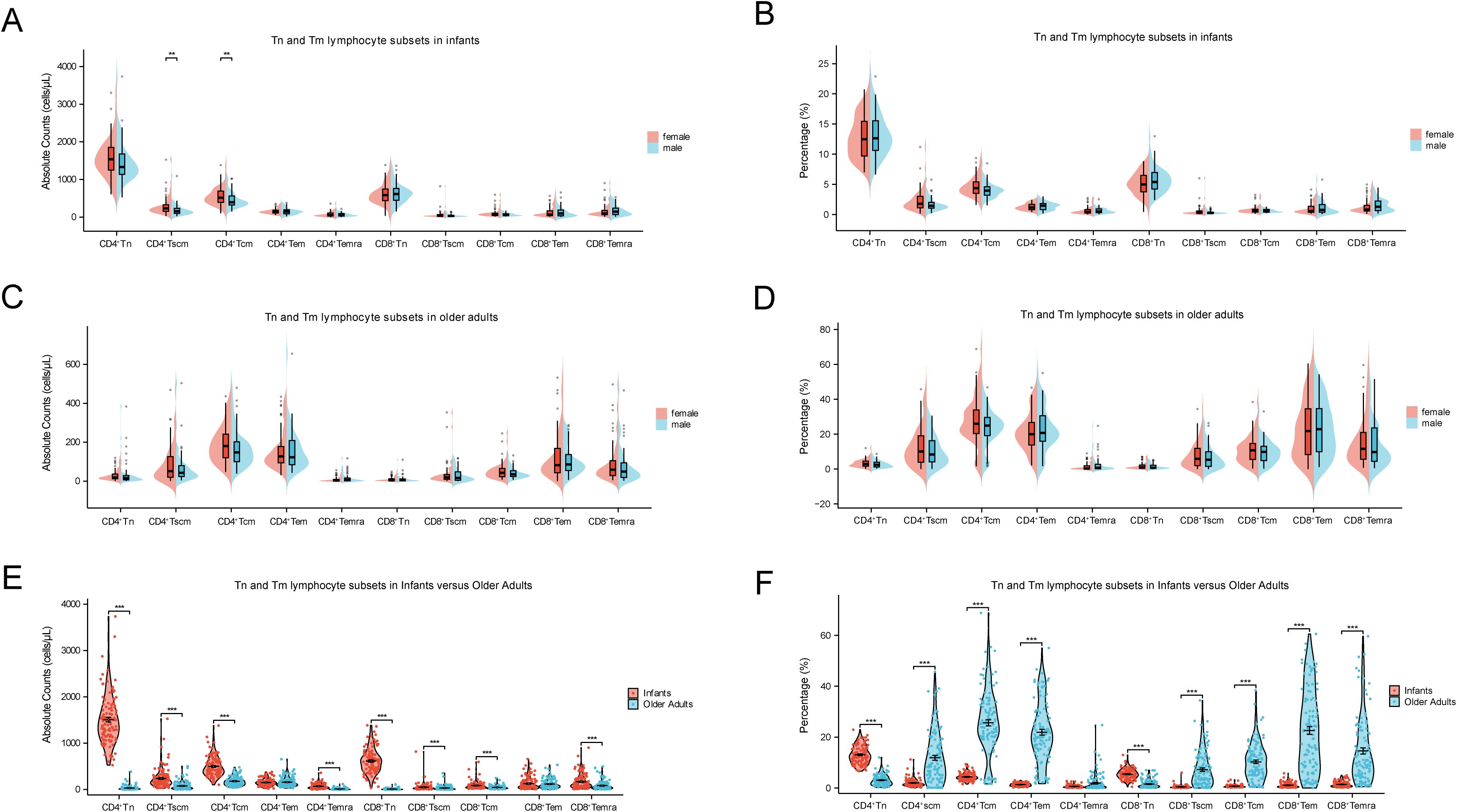 Violin plots depicting Tn and Tm lymphocyte subsets. Panels A and B show absolute counts and percentages in infants, respectively, with sex differentiation. Panels C and D display the same data for older adults. Panels E and F compare infants and older adults, given in absolute counts and percentages. Red represents females/infants, blue for males/older adults. Key subsets include CD4+ and CD8+ T-cells. Statistical significance is indicated with asterisks.