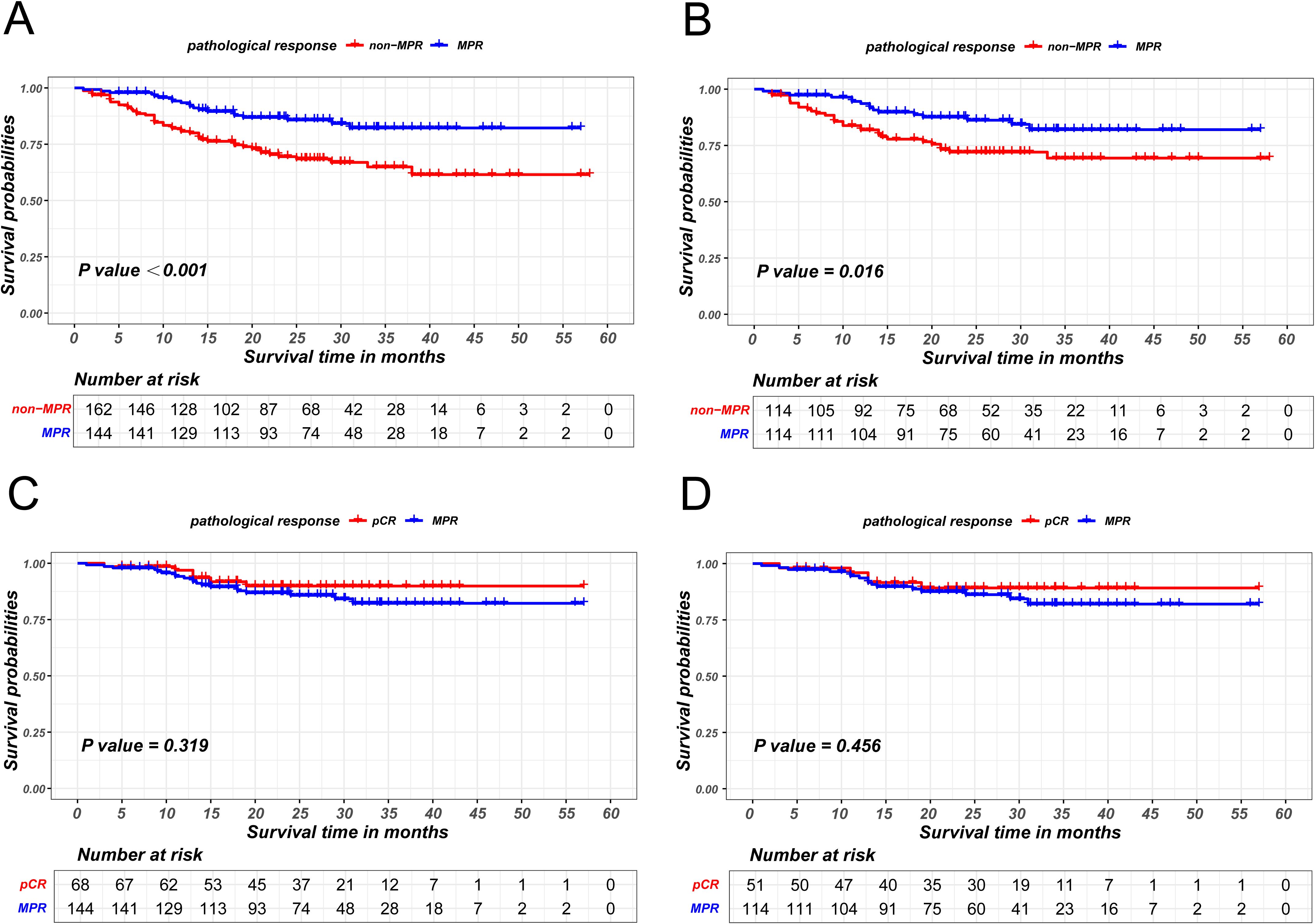 Four Kaplan-Meier survival graphs labeled A, B, C, and D compare survival probabilities over time. Each graph contrasts different pathological responses: non-MPR versus MPR in A and B, and pCR versus MPR in C and D. P-values are less than 0.001 in A, 0.016 in B, 0.319 in C, and 0.456 in D. A table below each graph shows the number of patients at risk at various time points.