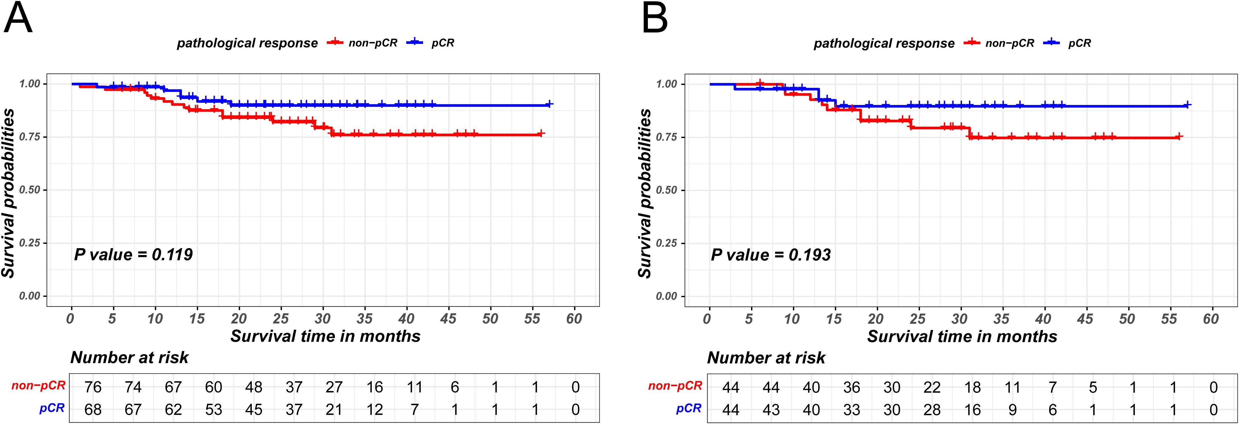 Graphs A and B show survival probabilities over time in months, comparing non-pCR (red line) and pCR (blue line) groups. In graph A, the p-value is 0.119, while in graph B, it is 0.193, indicating statistical comparisons between groups. A table below shows numbers at risk for each group at different time points.