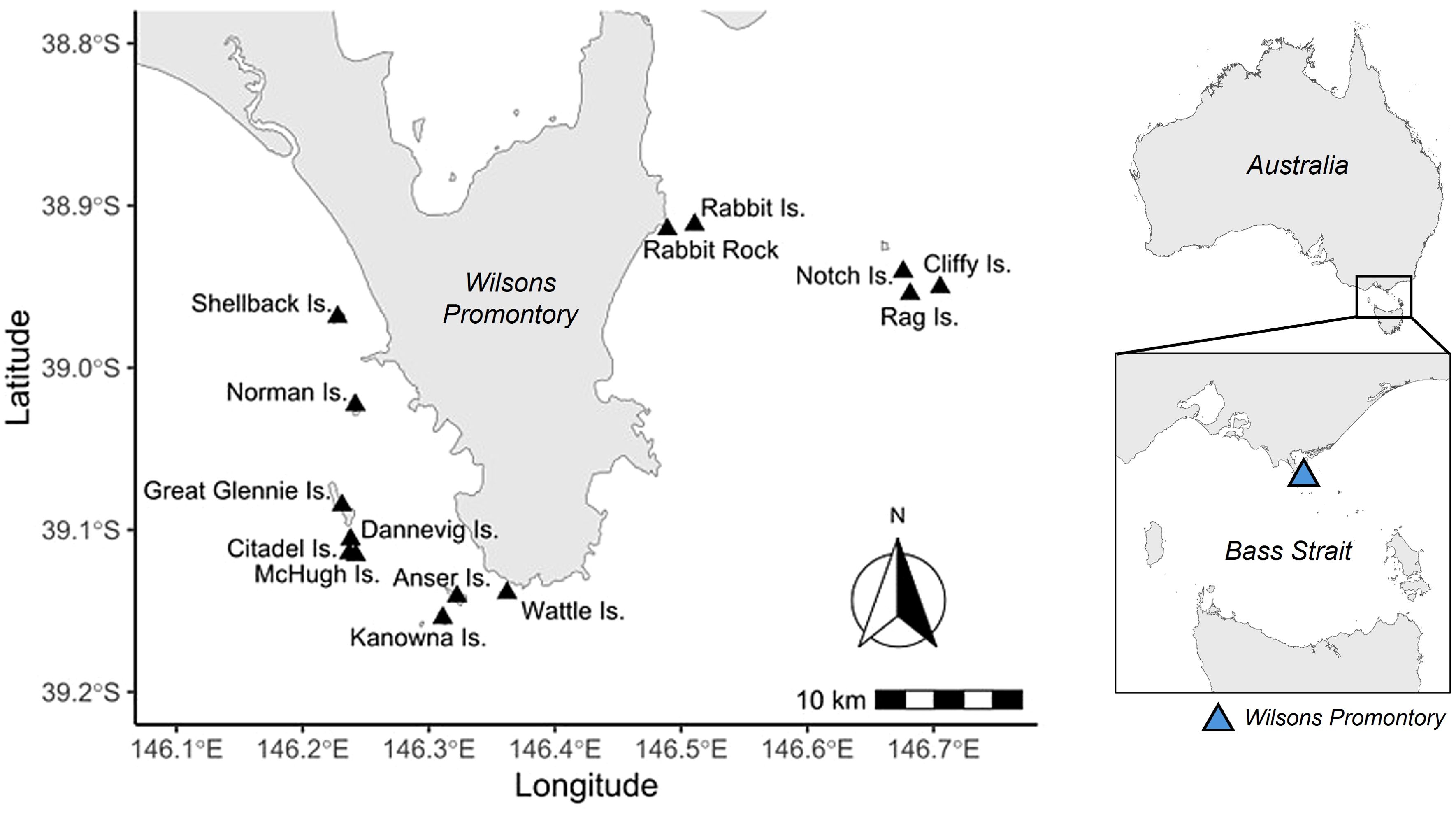 Map depicting Wilsons Promontory and surrounding islands in Bass Strait, southeast Australia. Islands labeled include Shellback, Norman, Great Glennie, Dannevig, Citadel, McHugh, Anser, Kanowna, Wattle, Rabbit, Notch, Cliffy, and Rag. Scale bar, compass, and a locator map of Australia indicating Wilsons Promontory’s position are included.