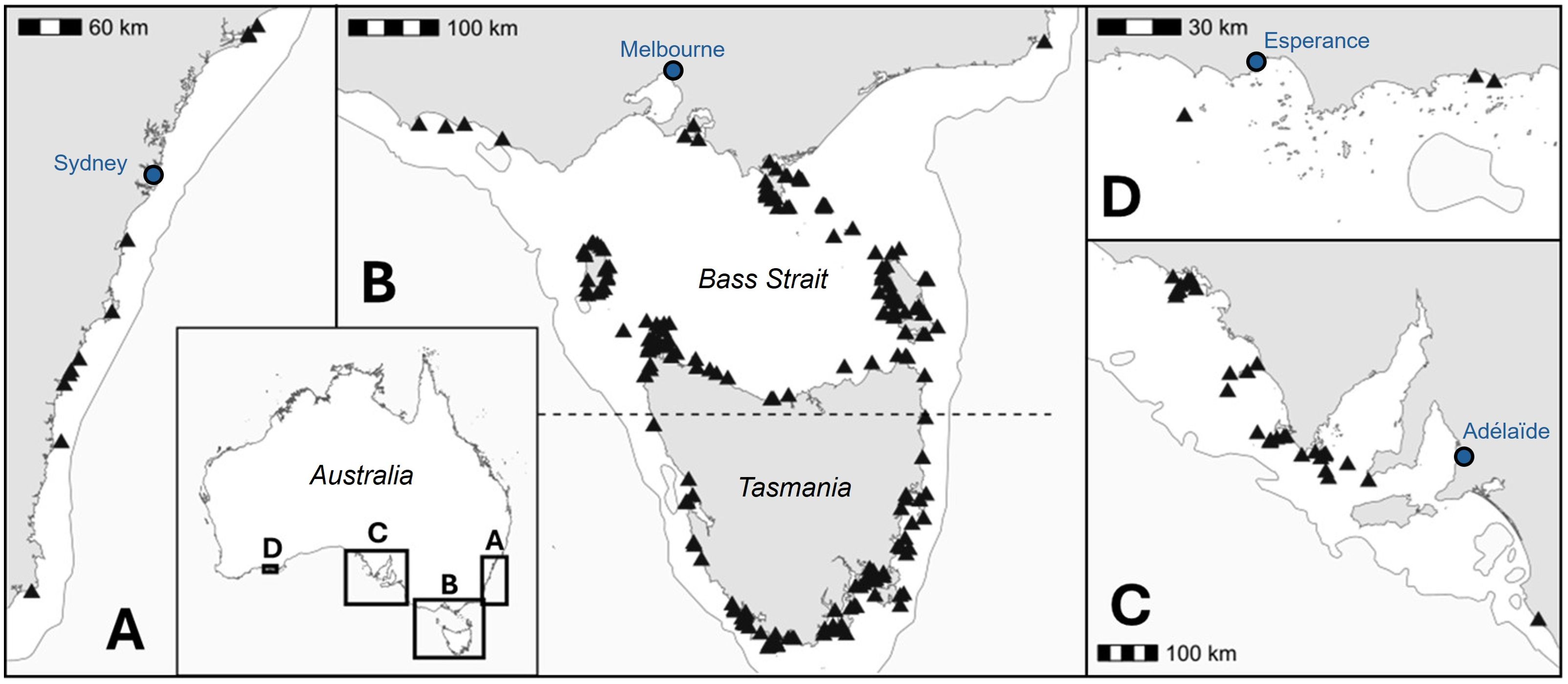 Map of southern Australia with four panels labeled A, B, C, and D. Panel A shows Sydney with triangular markers. Panel B highlights Bass Strait and Tasmania with many markers. Panels C and D show additional coastal areas with cities like Adelaide and Esperance. Insets show the geographical context within Australia.