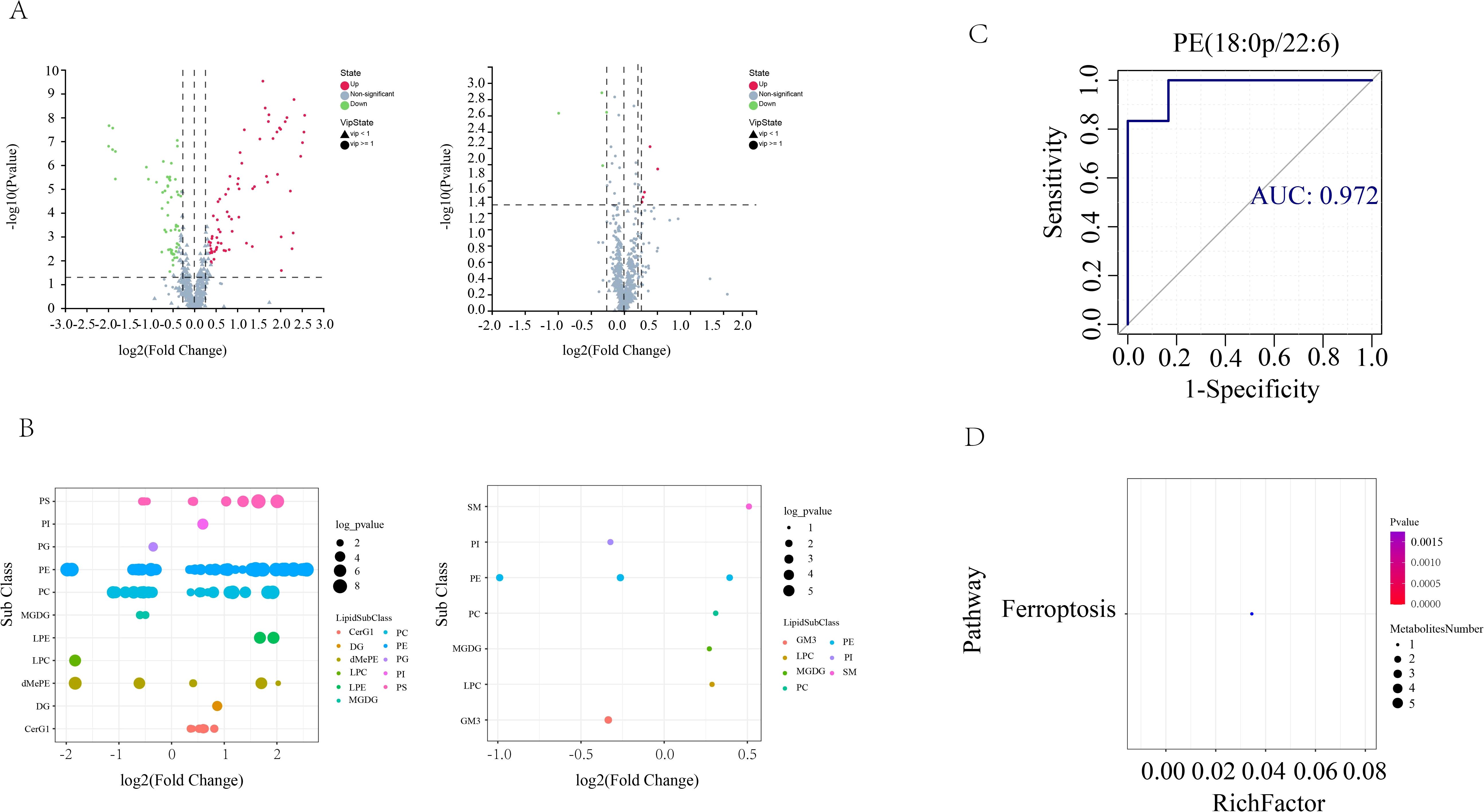 Panel A shows volcano plots with log fold change and -log10 p-values, highlighting significant and non-significant data points. Panel B displays bubble plots with lipid subclasses, fold changes, and p-values. Panel C presents a ROC curve for PE(18:0p/22:6) with an AUC of 0.972. Panel D is an enrichment plot for the ferroptosis pathway, indicating metabolites and p-values.