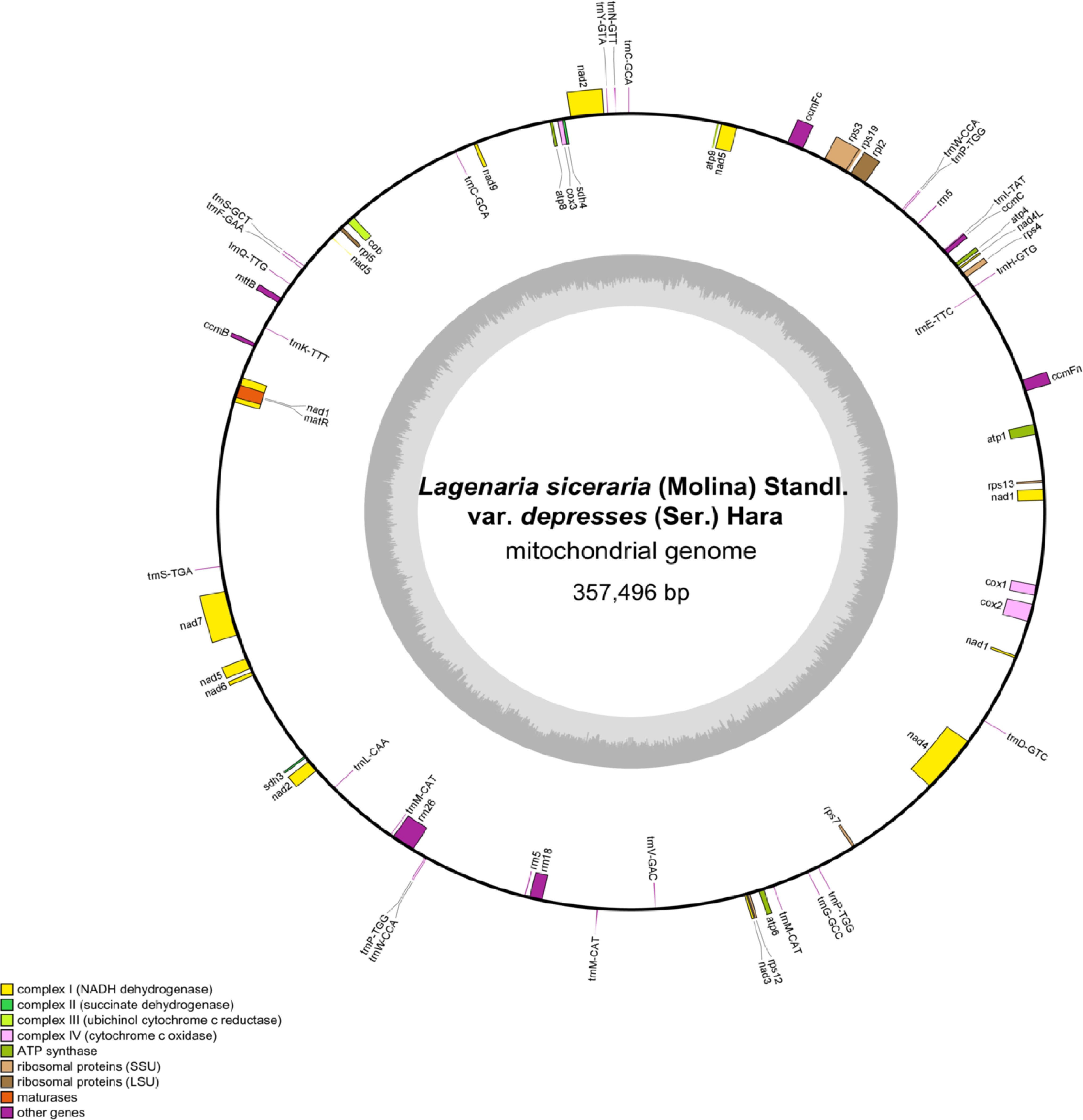 Circular diagram depicting the mitochondrial genome of Lagenaria siceraria var. depresses, totaling 357,496 base pairs. Various gene complexes are color-coded, including ATP synthase and ribosomal proteins. The diagram is segmented with labeled regions, each representing different genes.