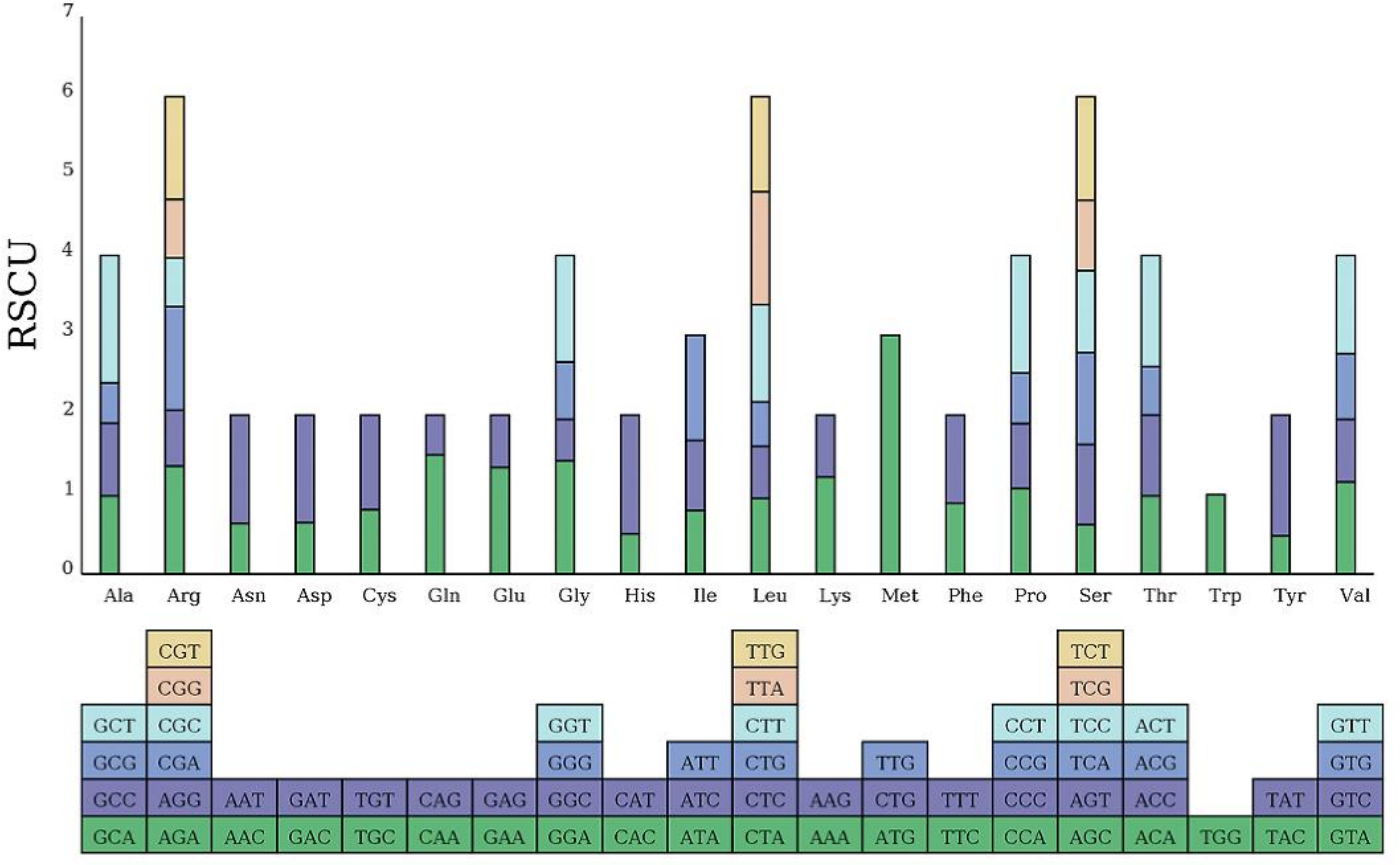 Bar chart showing the Relative Synonymous Codon Usage (RSCU) for various amino acids, including Ala, Arg, Asn, and others. Each bar is segmented into color-coded sections representing different codons. The bottom portion details specific codons arranged by color.