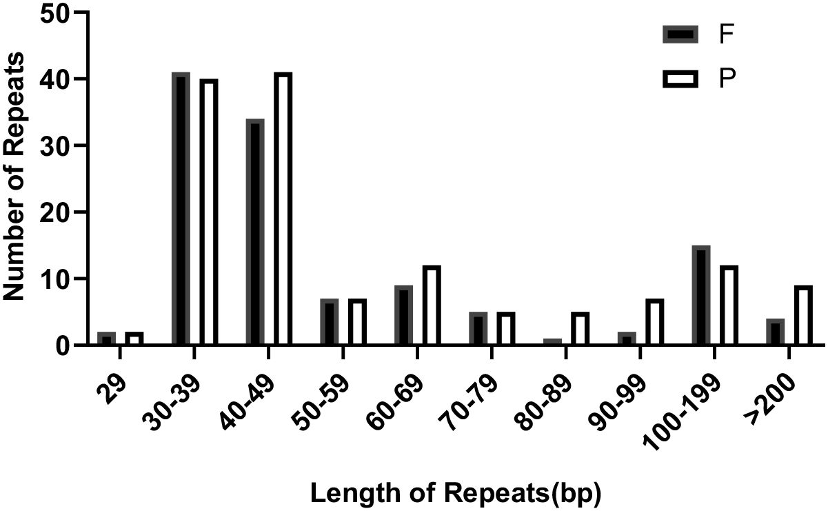 Bar graph comparing the number of repeats at varying lengths, from 29 to over 200 base pairs. Categories include F and P, with F shown in black and P in white. Peaks occur at 30-49 base pairs, with numbers around 40-50, and at 100-199 base pairs.